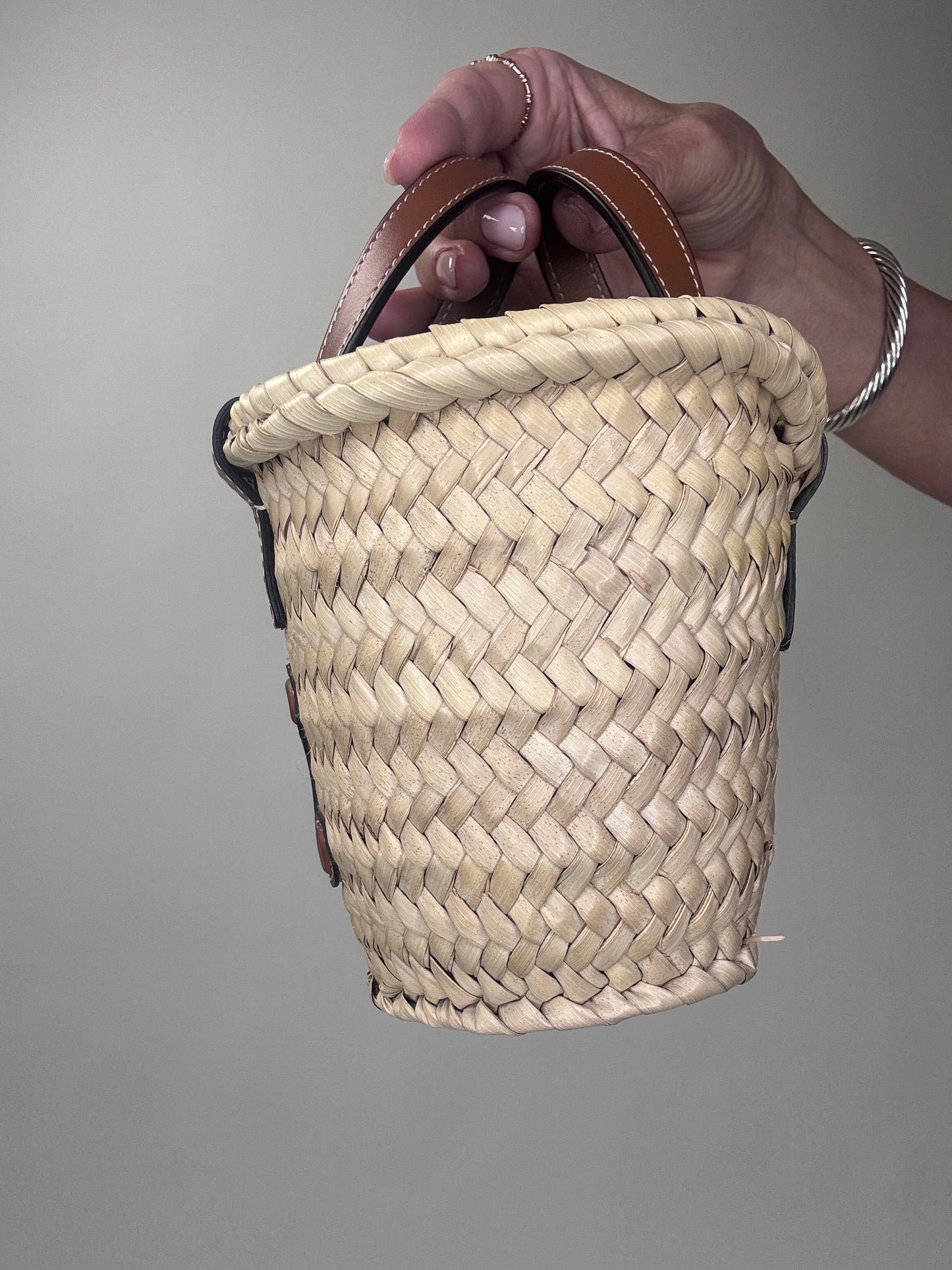 Celine Triomphe Palm Branch Mini Tote