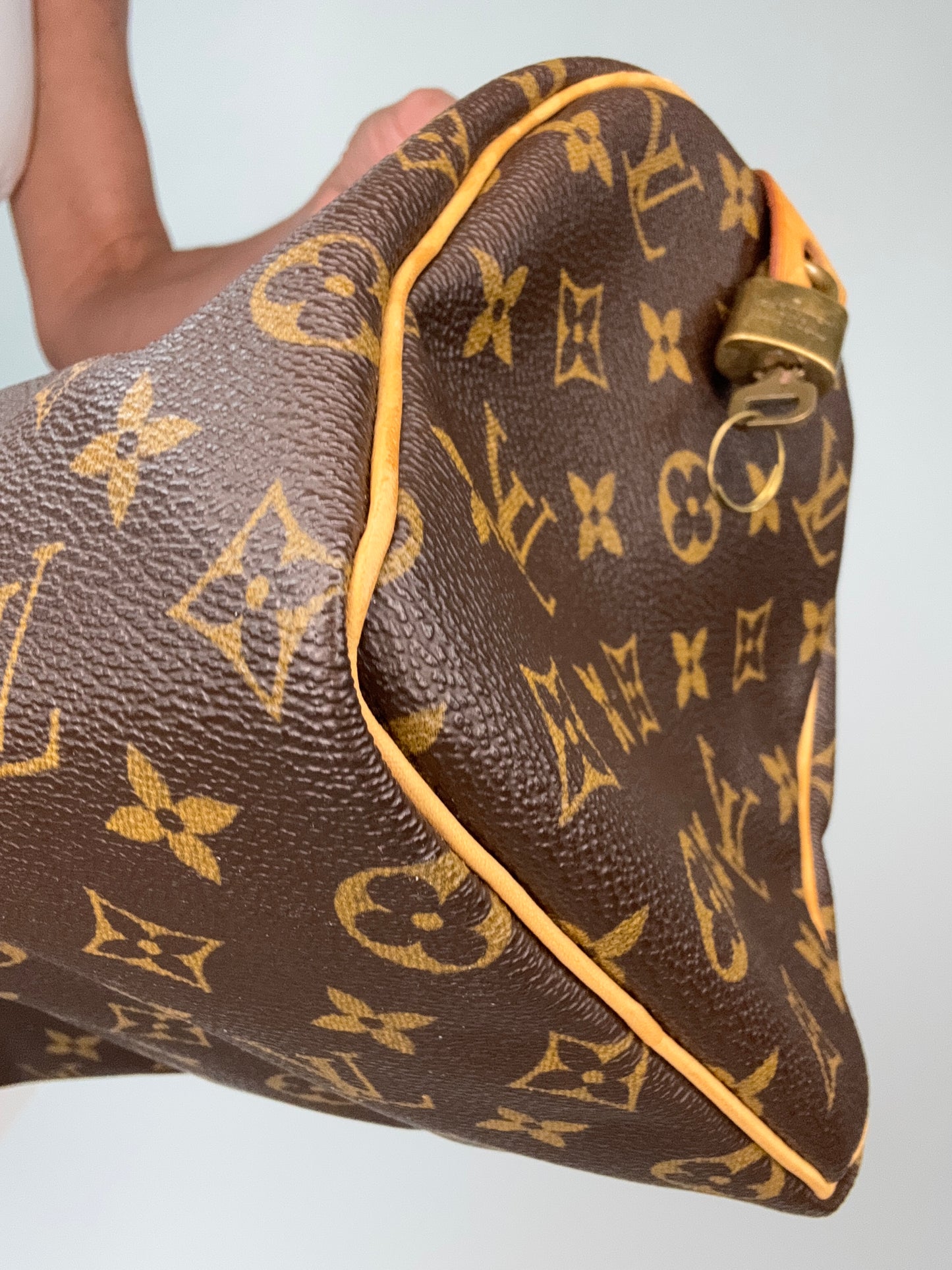 Louis Vuitton Speedy 25 Monogram
