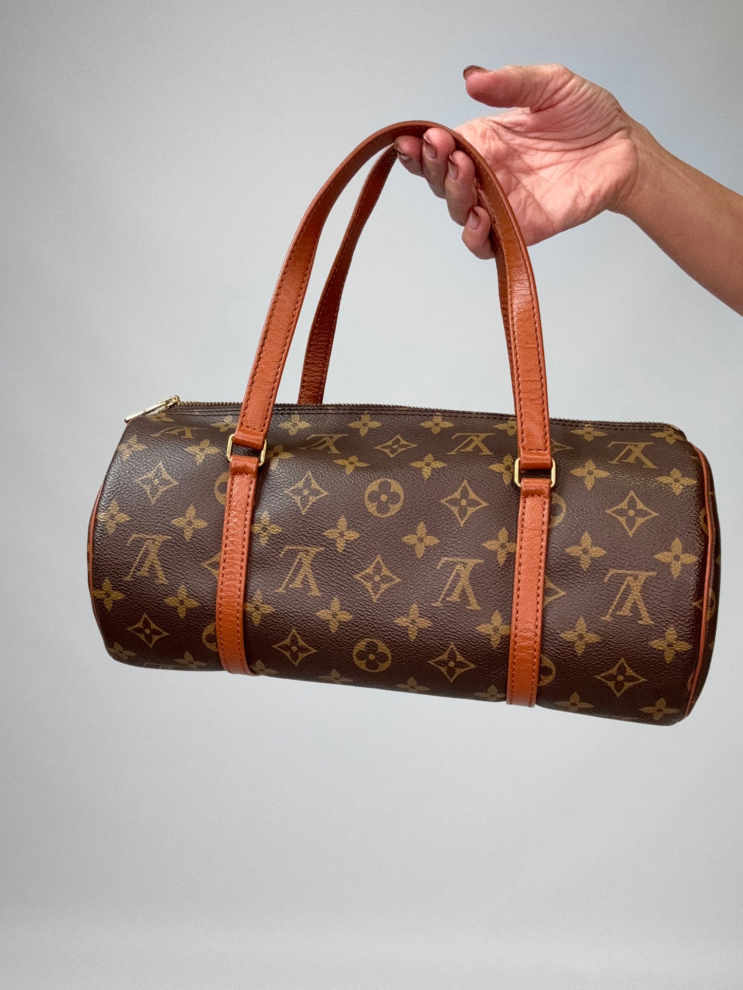 Louis Vuitton Monogram Papillon 30 With Companion