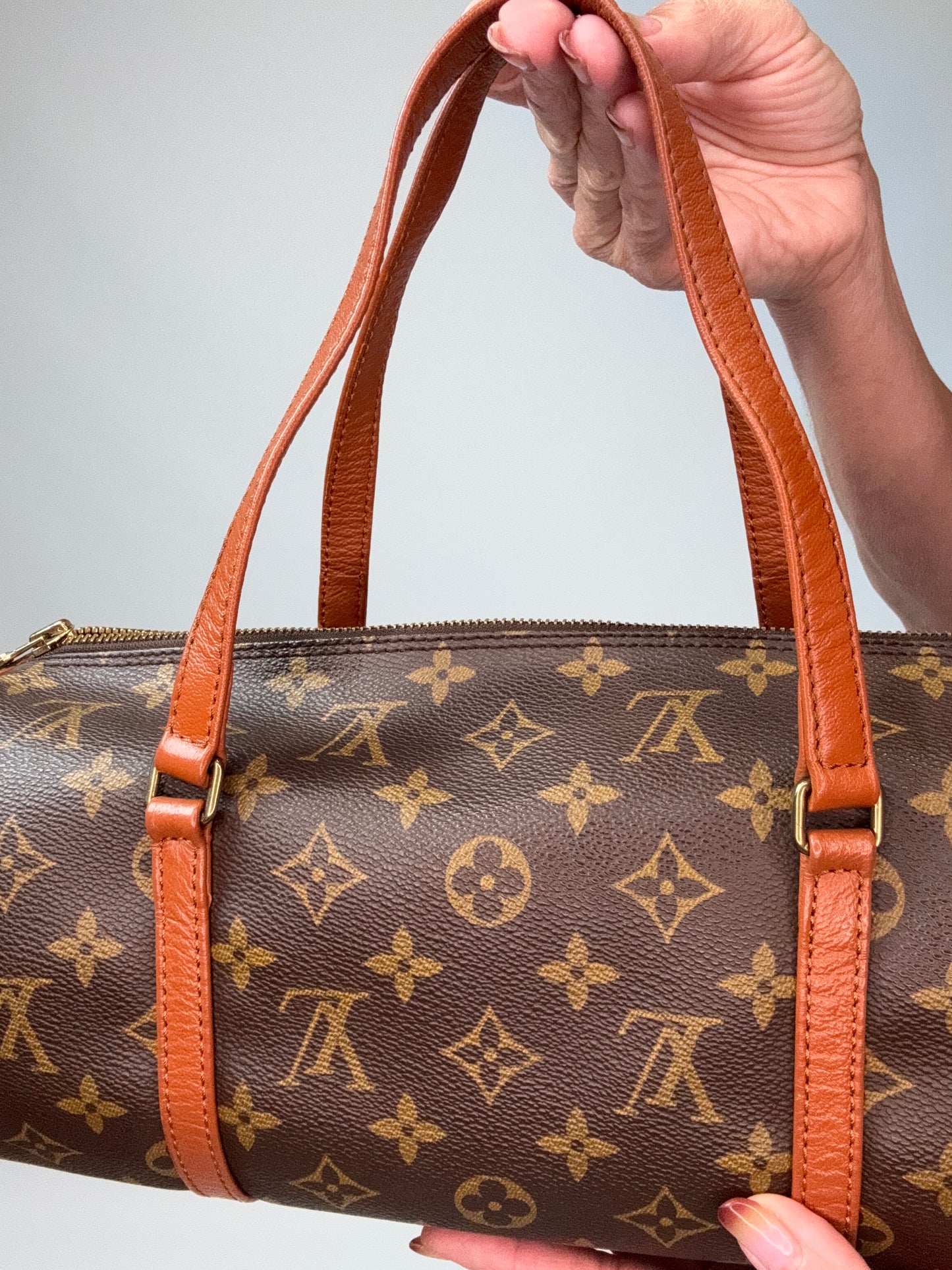 Louis Vuitton Monogram Papillon 30 With Companion