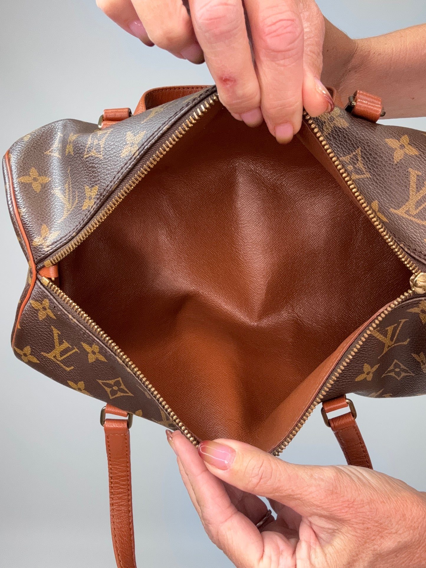 Louis Vuitton Monogram Papillon 30 With Companion