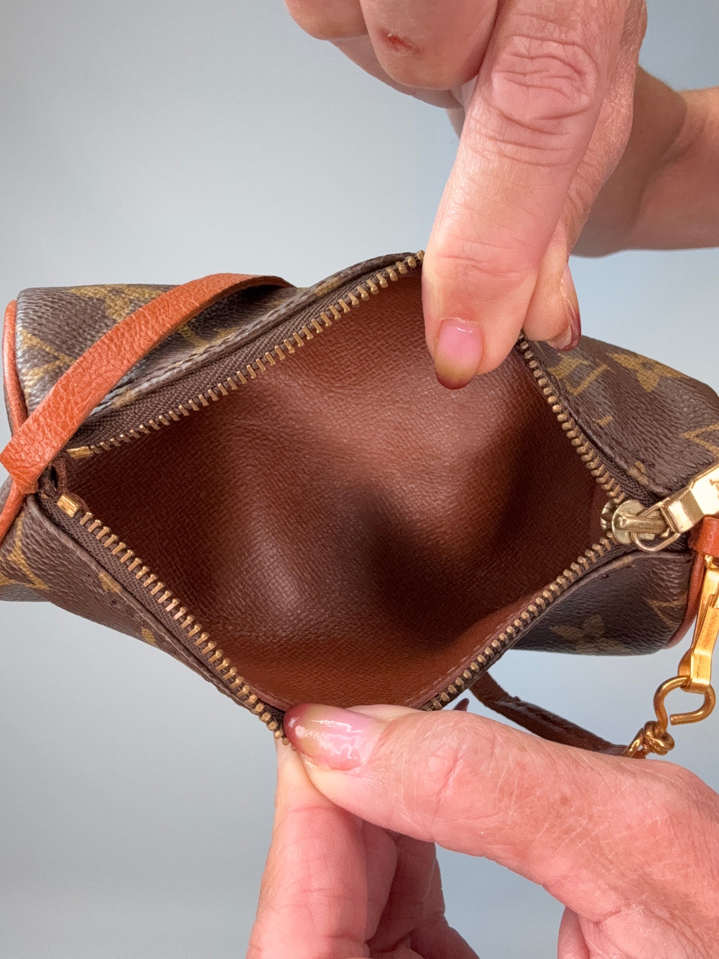Louis Vuitton Monogram Papillon 30 With Companion