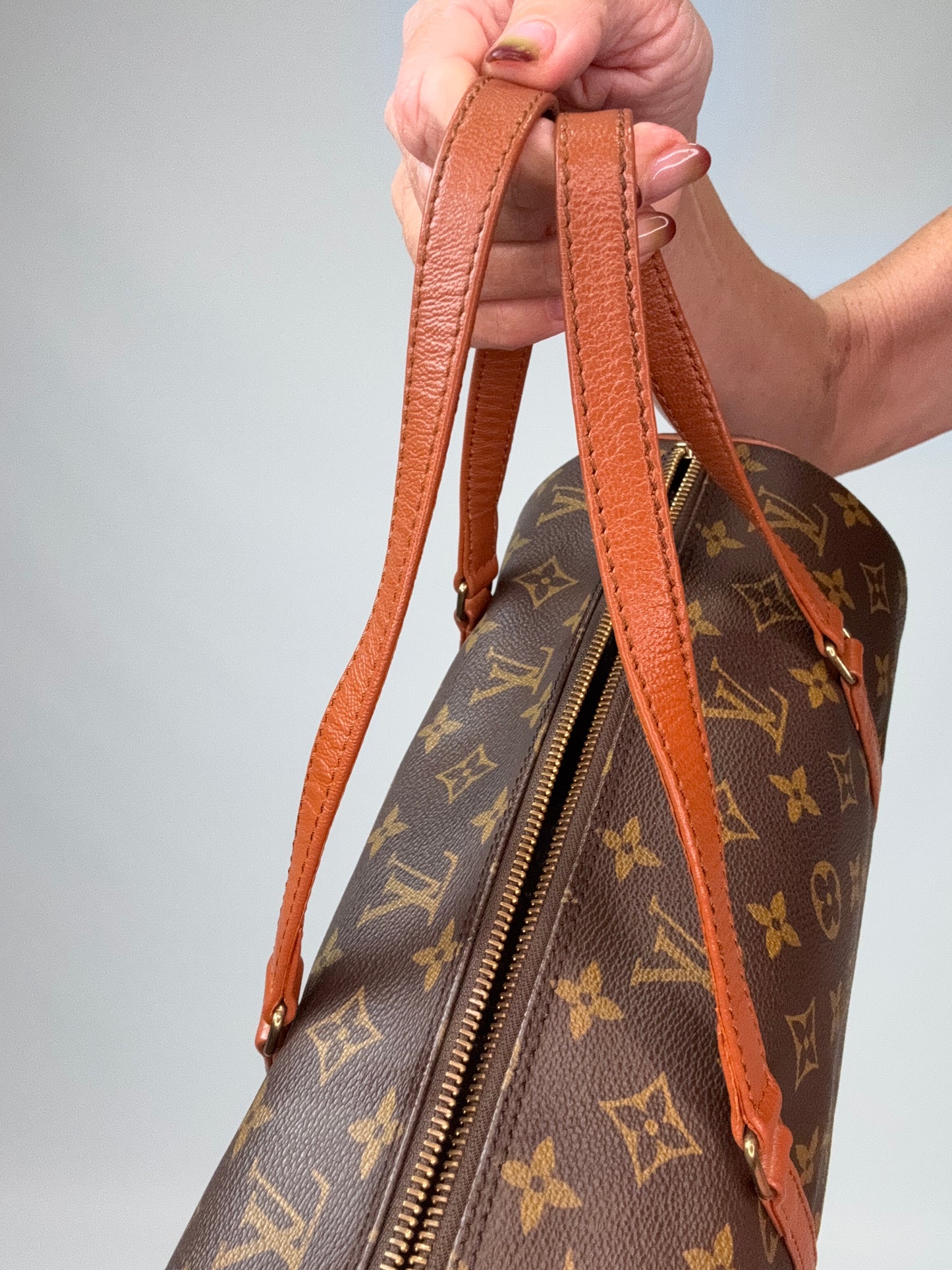 Louis Vuitton Monogram Papillon 30 With Companion