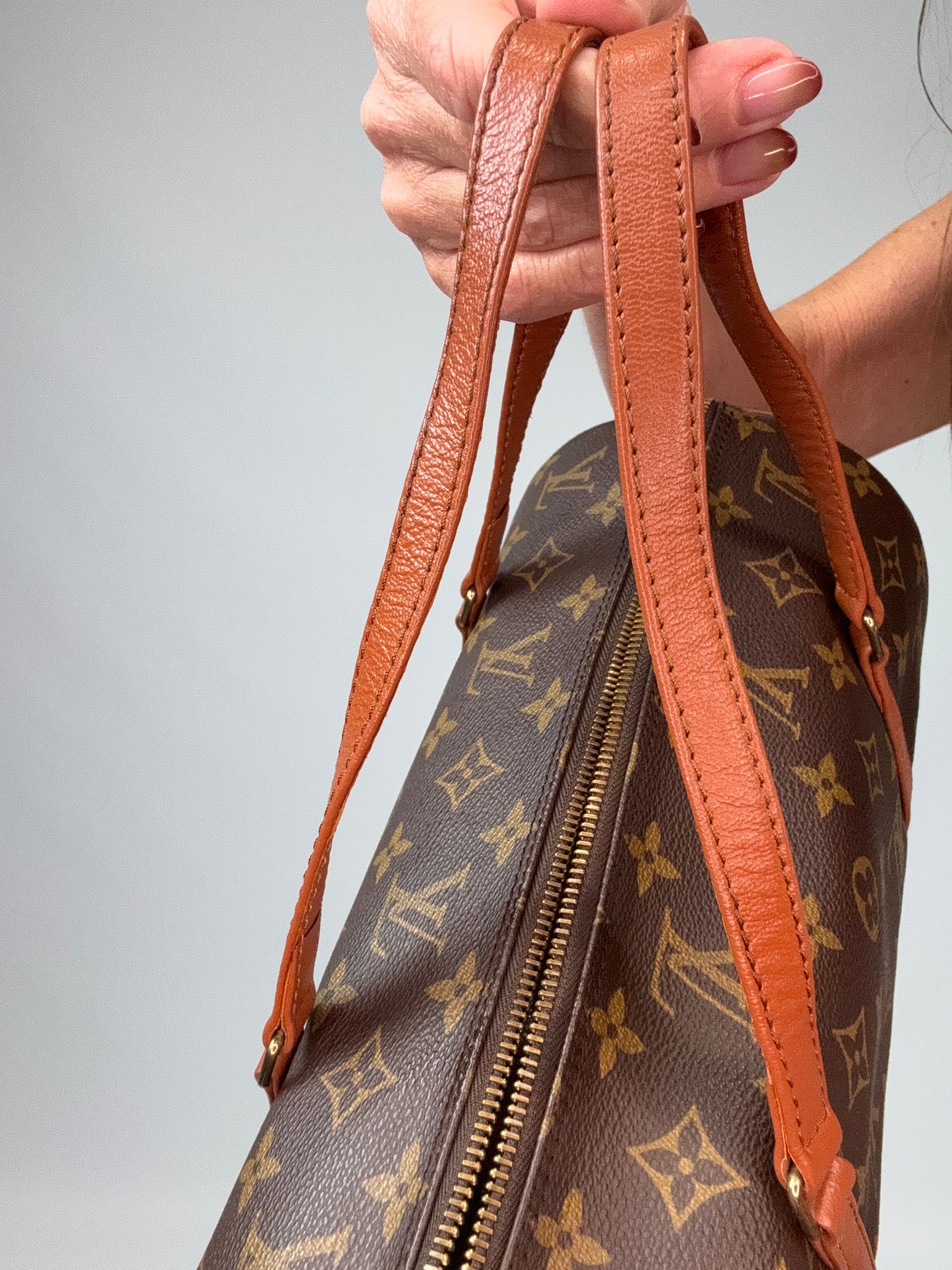 Louis Vuitton Monogram Papillon 30 With Companion