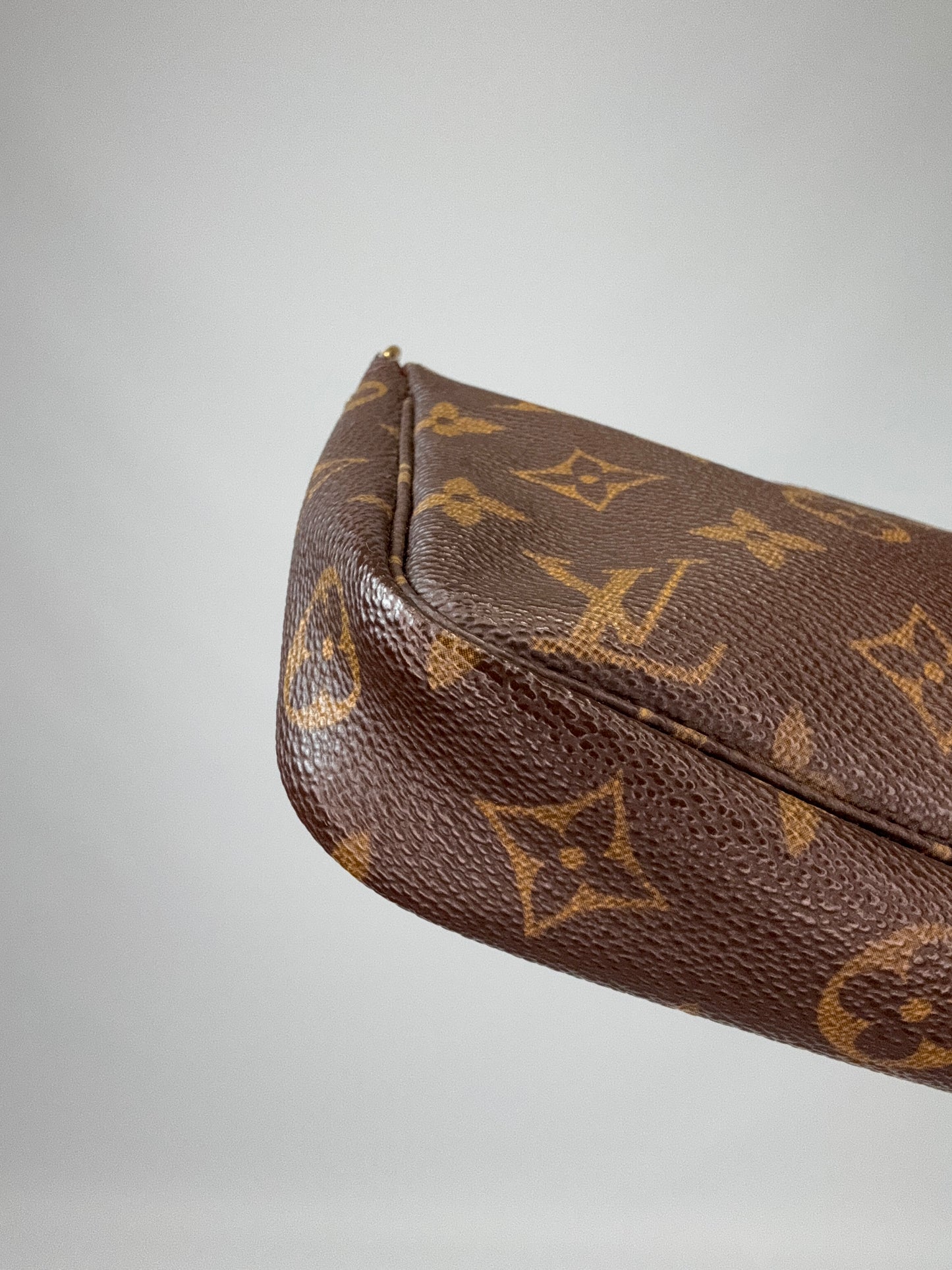 Louis Vuitton Pochette Accessoires Monogram Bag