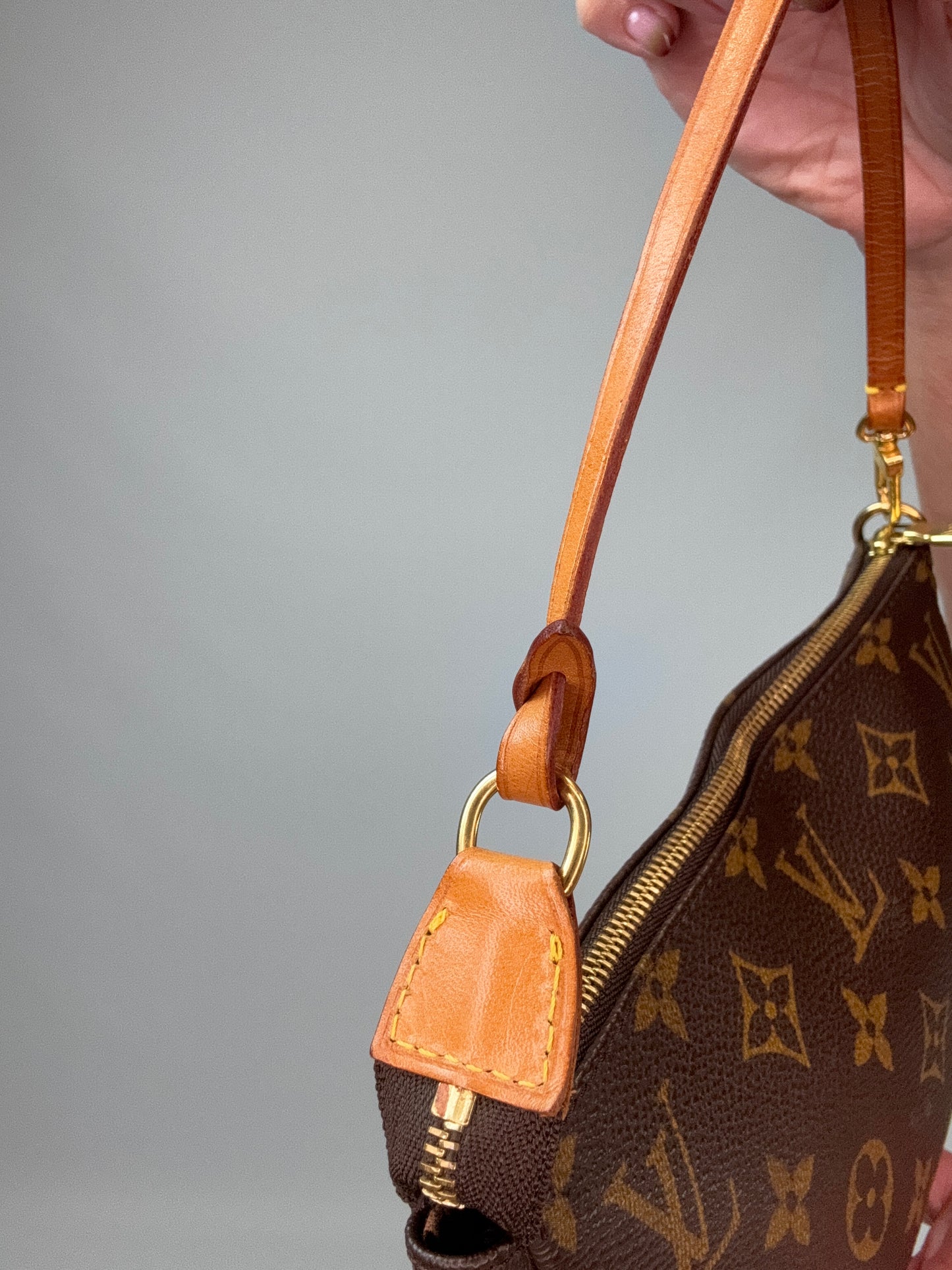 Louis Vuitton Pochette Accessoires Monogram Bag