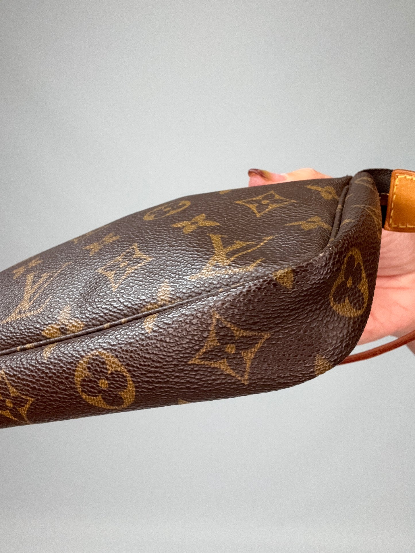 Louis Vuitton Pochette Accessoires Monogram Bag
