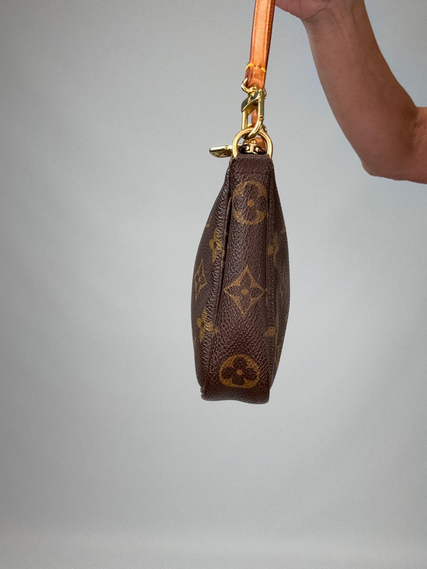 Louis Vuitton Pochette Accessoires Monogram Bag