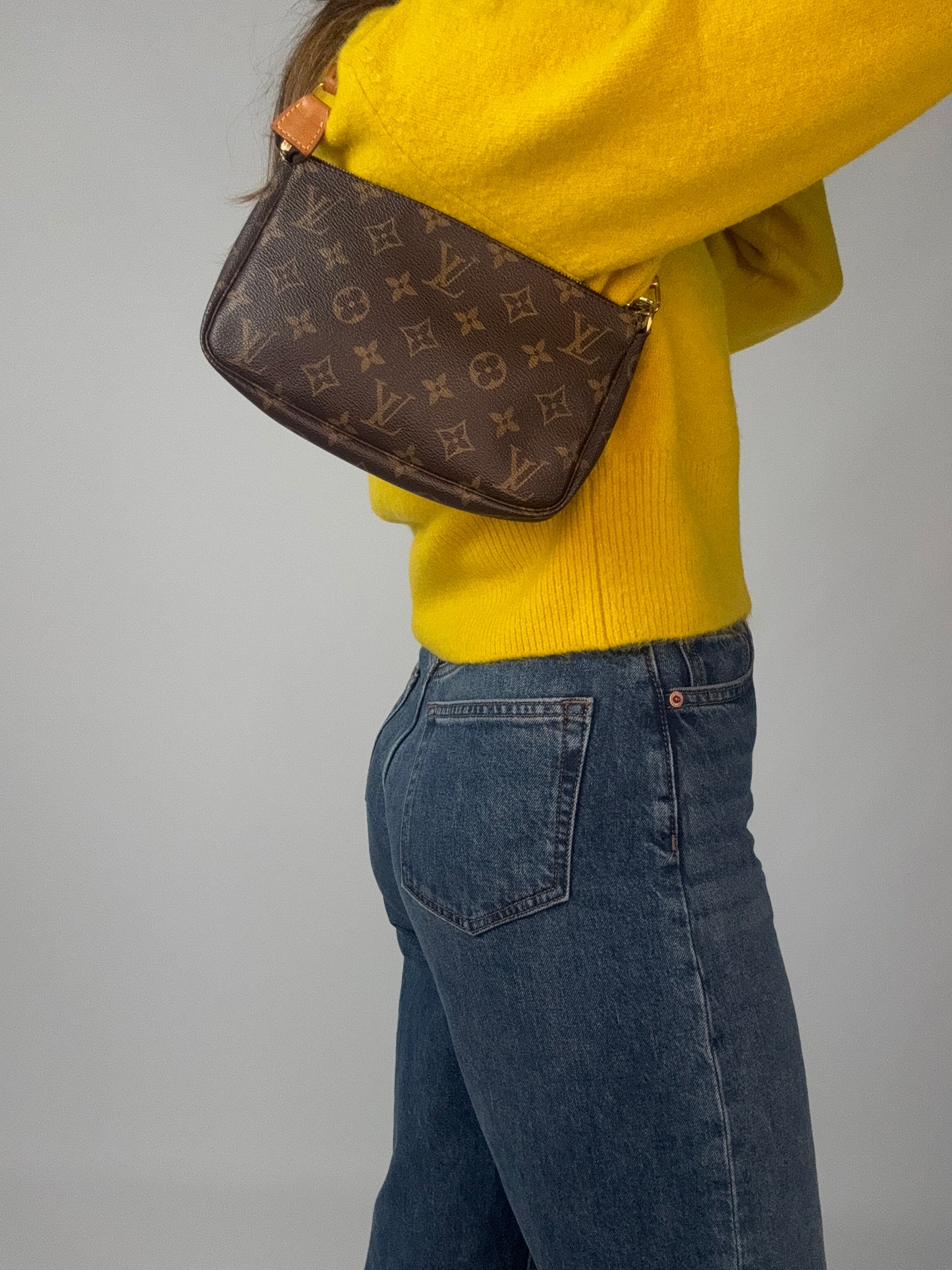 Louis Vuitton Pochette Accessoires Monogram Bag