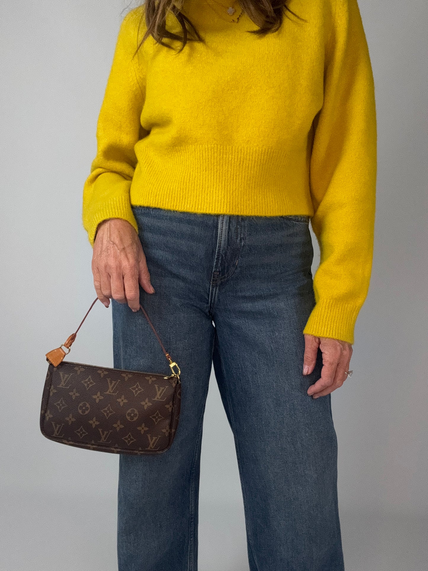 Louis Vuitton Pochette Accessoires Monogram Bag