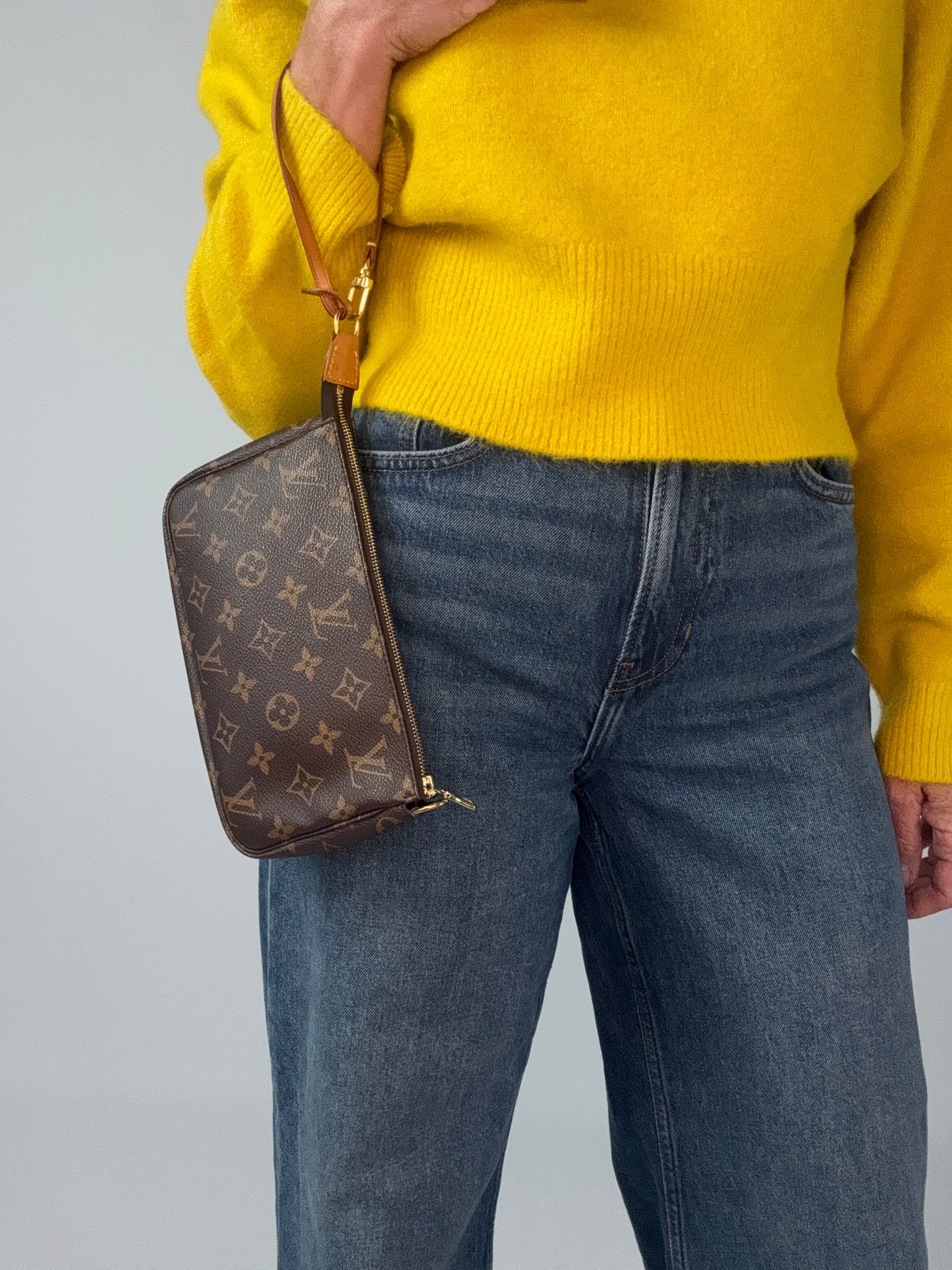 Louis Vuitton Pochette Accessoires Monogram Bag