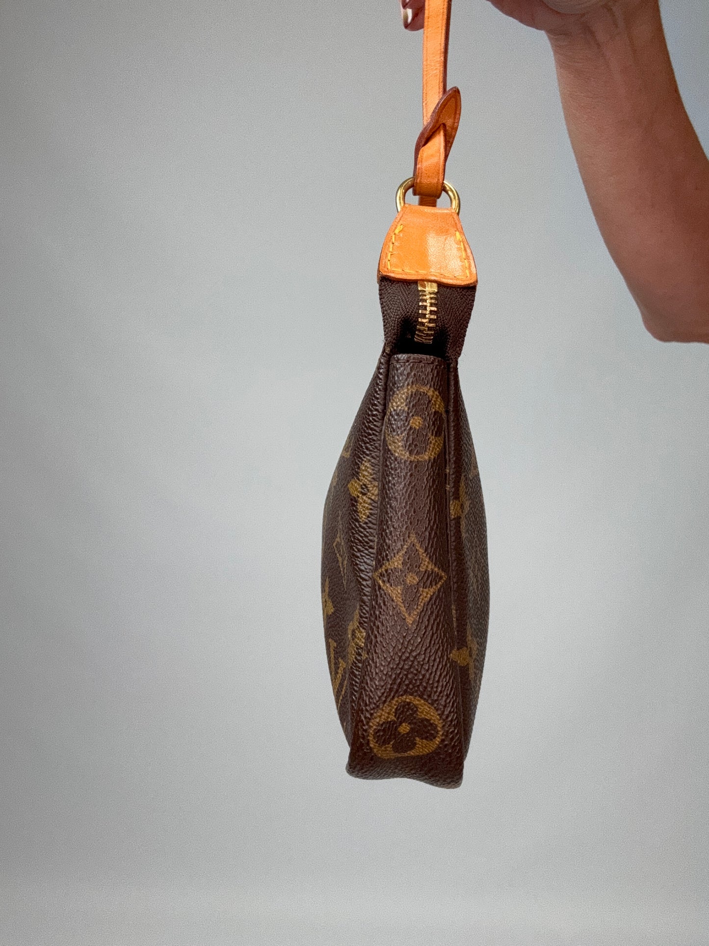 Louis Vuitton Pochette Accessoires Monogram Bag