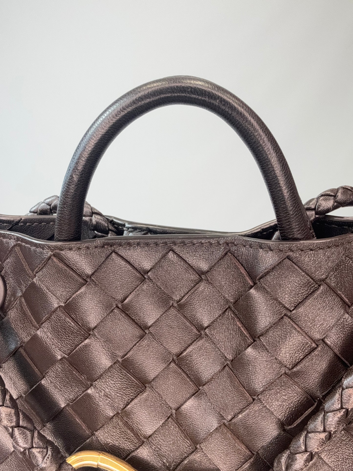 Bottega Veneta Small Andiamo - Brown
