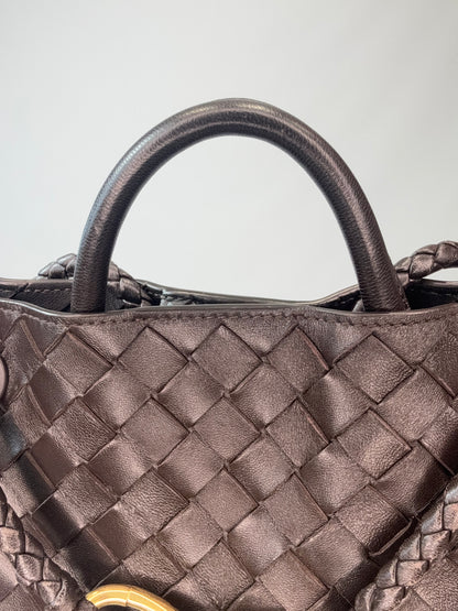 Bottega Veneta Small Andiamo - Brown