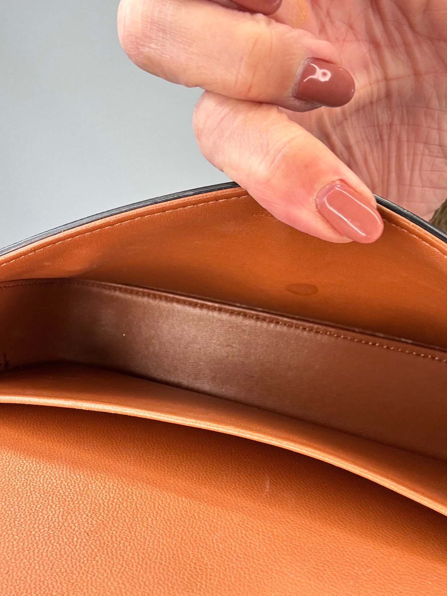 Celine Claude Triomphe Canvas Shoulder Bag