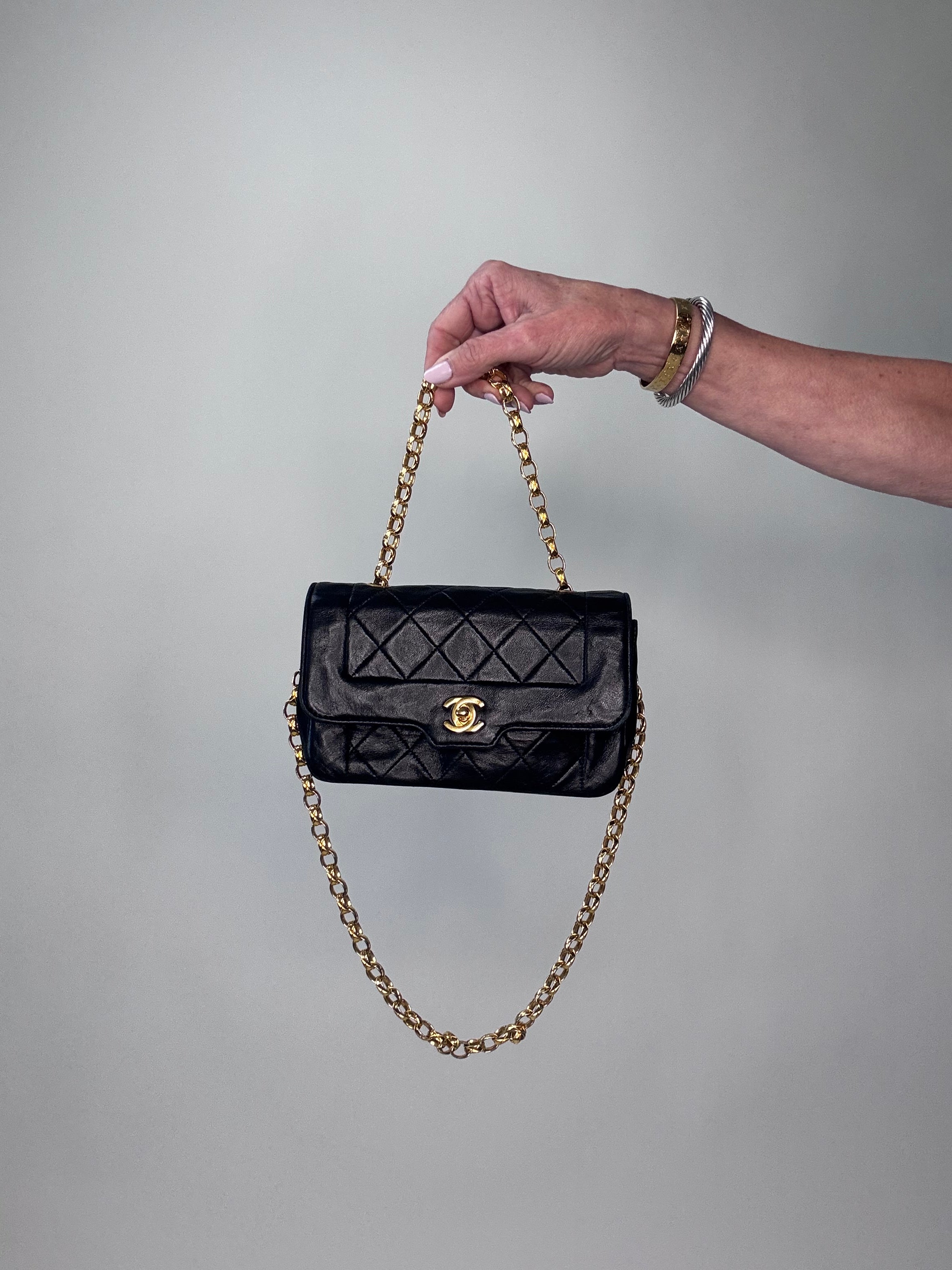 Chanel Diana Bijoux Chain Small Flap Bag - Black – thestilstyle