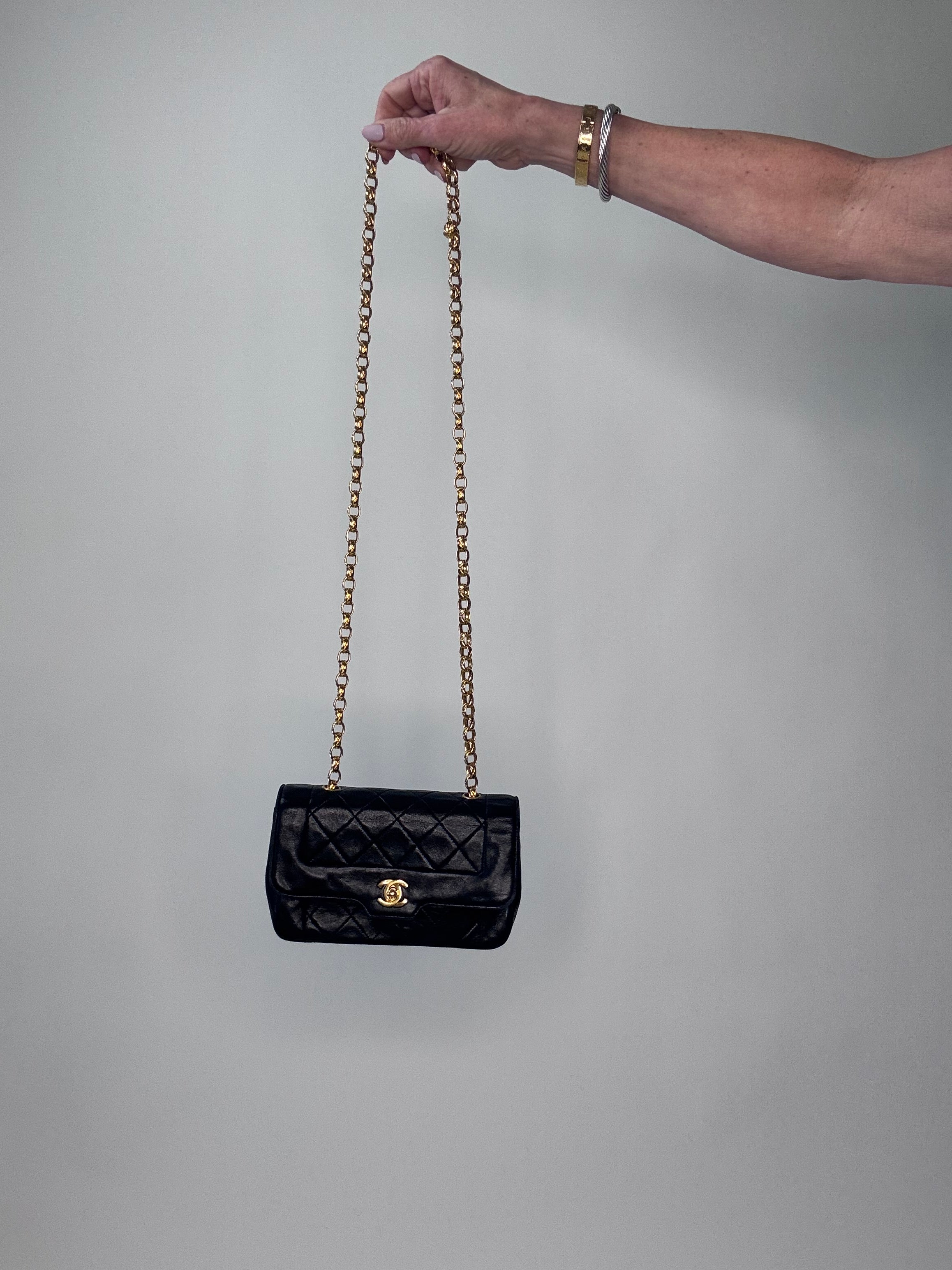 Chanel Diana Bijoux Chain Small Flap Bag - Black – thestilstyle