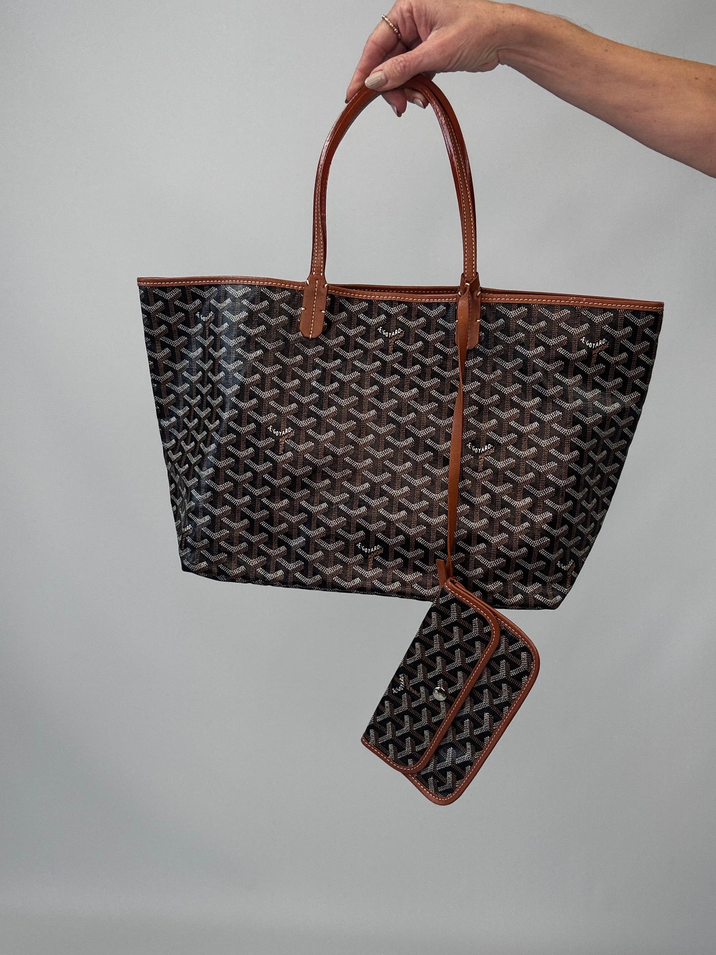 Goyard St Louis PM With Pouch - Black / Brown