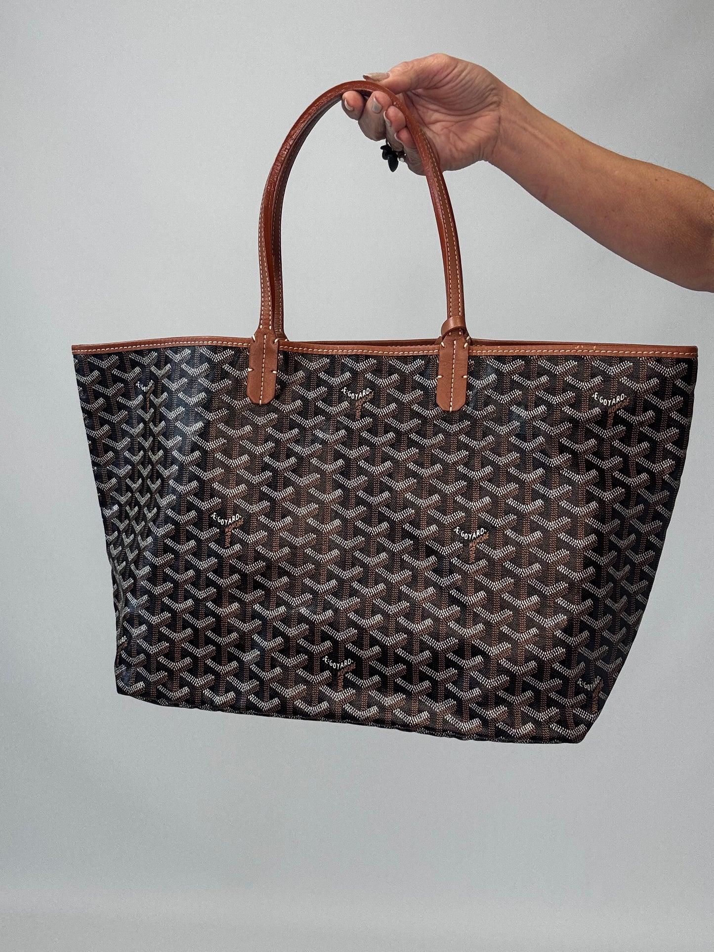 Goyard St Louis PM With Pouch - Black / Brown