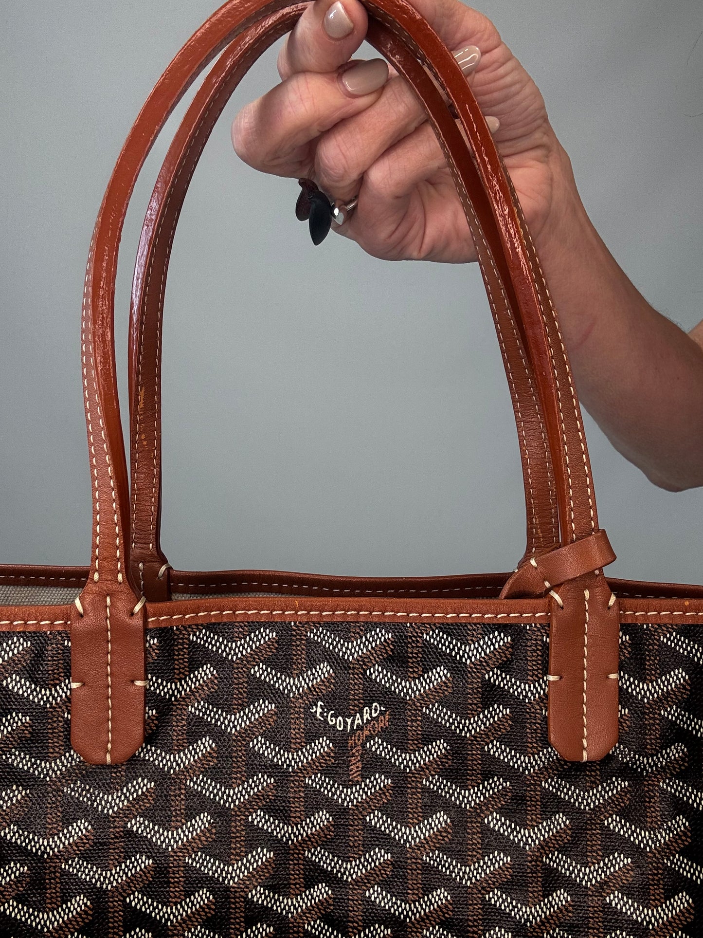Goyard St Louis PM With Pouch - Black / Brown