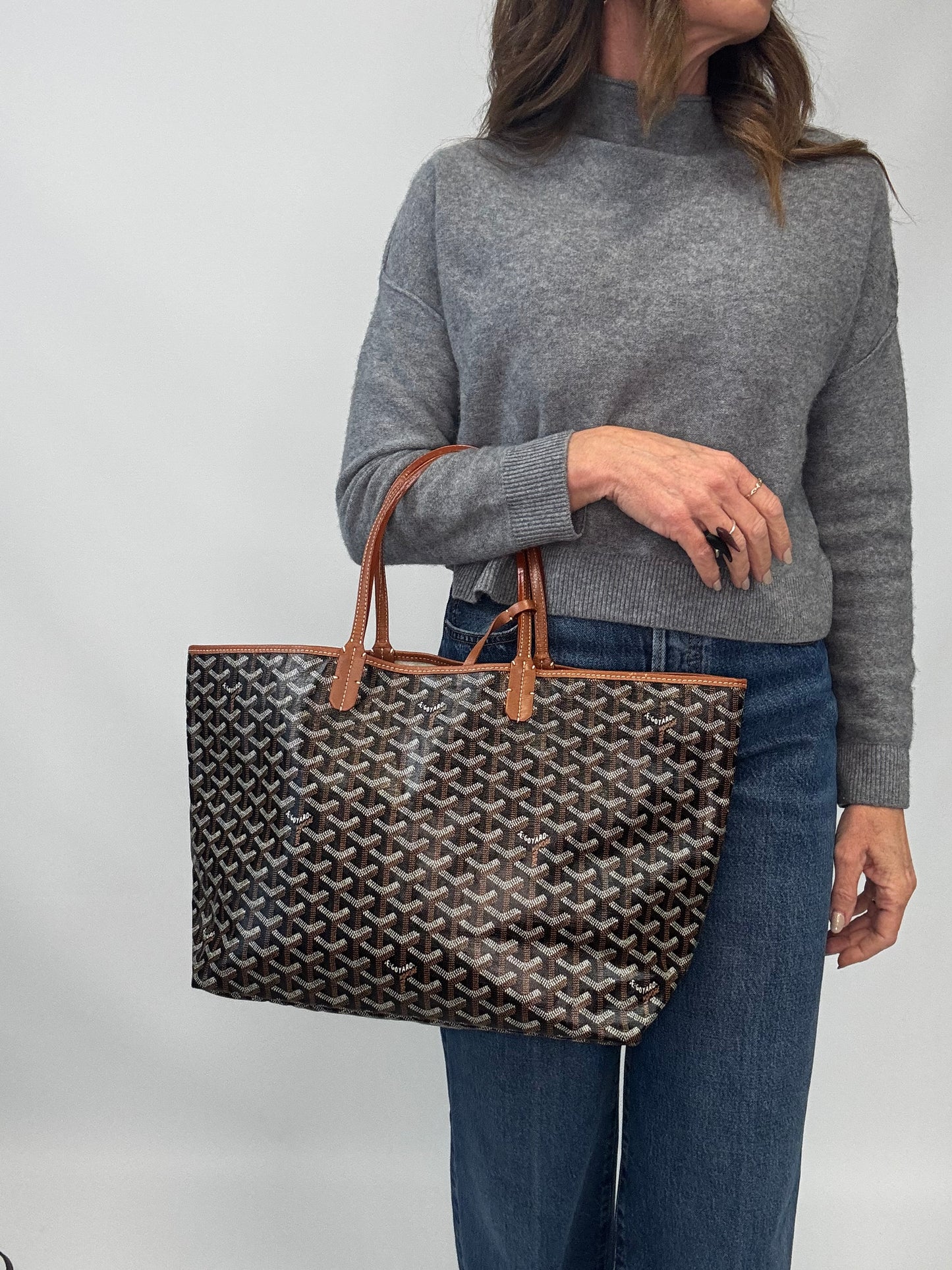 Goyard St Louis PM With Pouch - Black / Brown