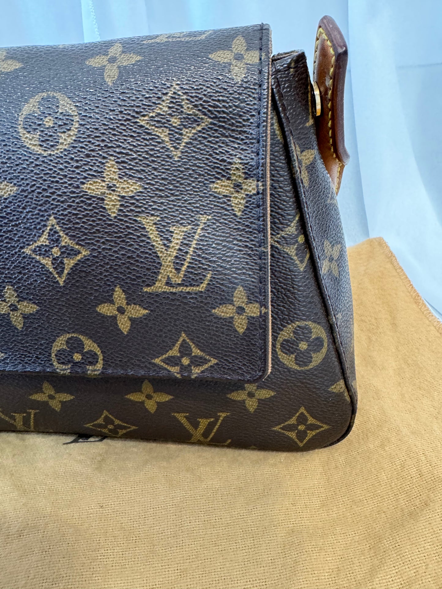 Louis Vuitton Small Loopy Vintage