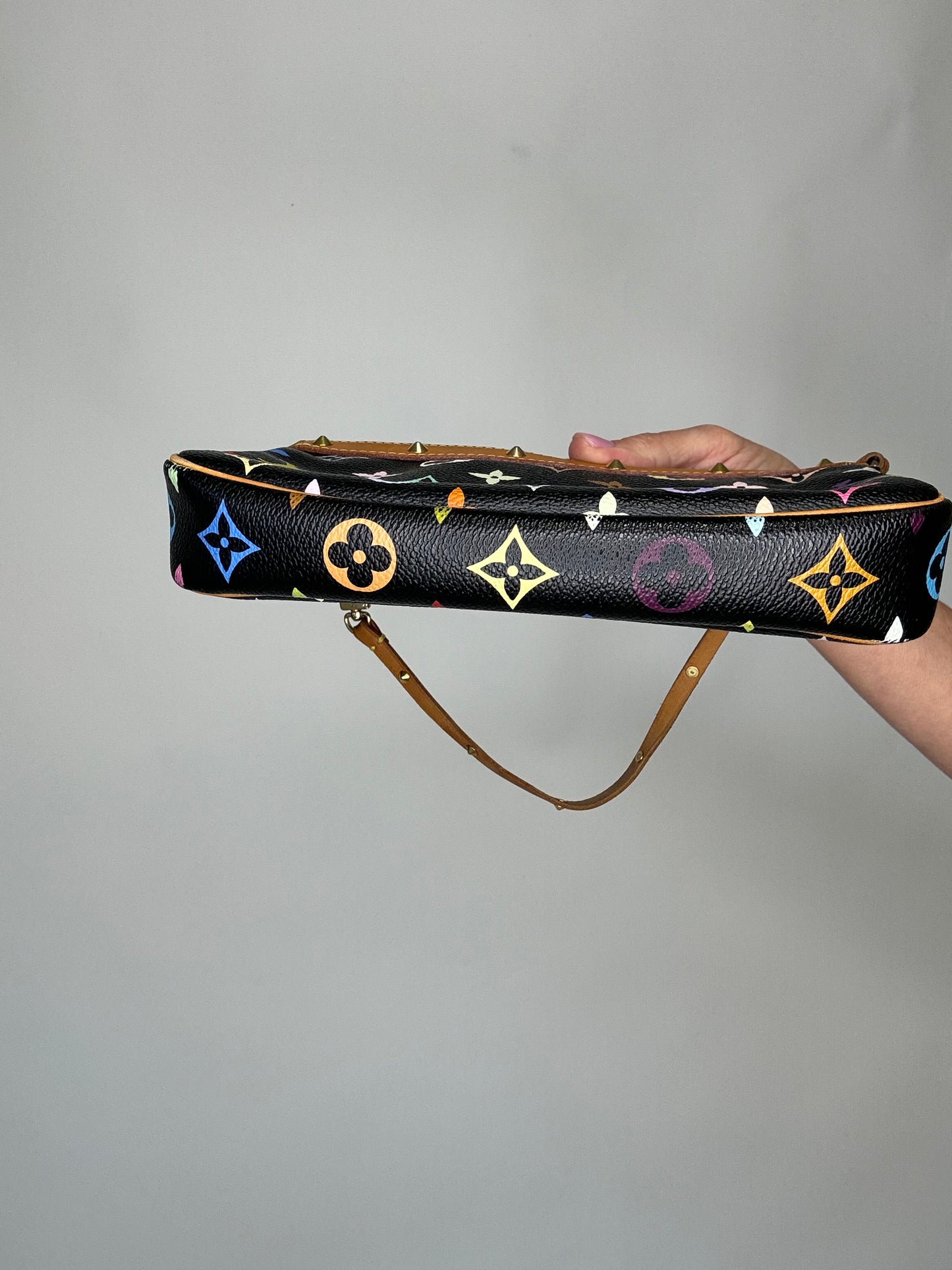 Louis Vuitton Multi Color Pochette