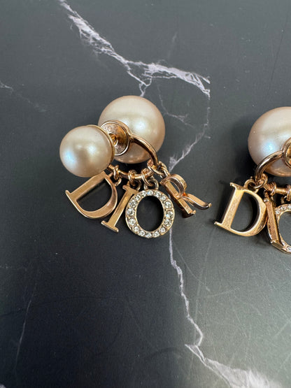 Christian Dior Tribales Resin Earrings