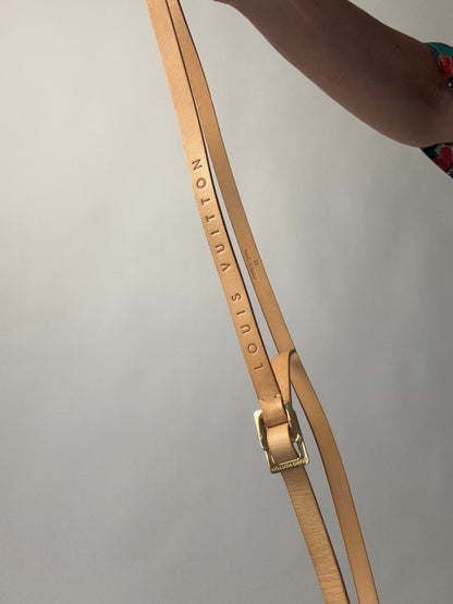 Louis Vuitton Vintage Florentine Belt Bag