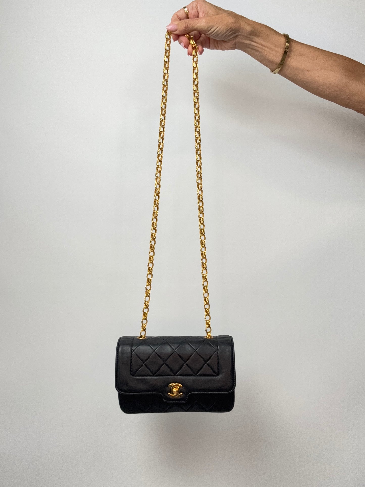 Chanel Mini Diana Bijoux Chain