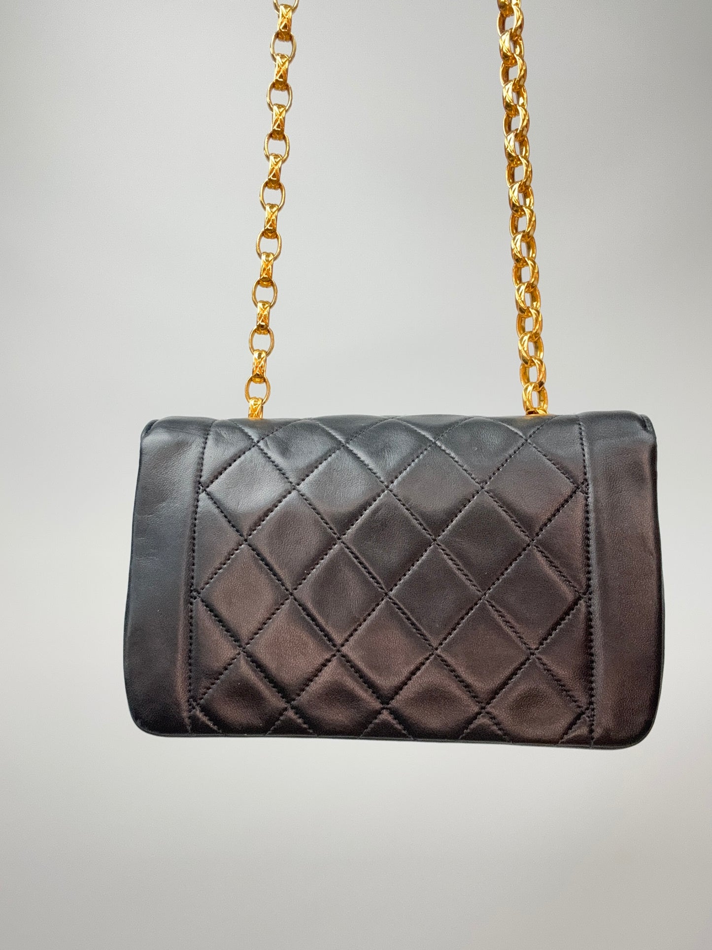 Chanel Mini Diana Bijoux Chain