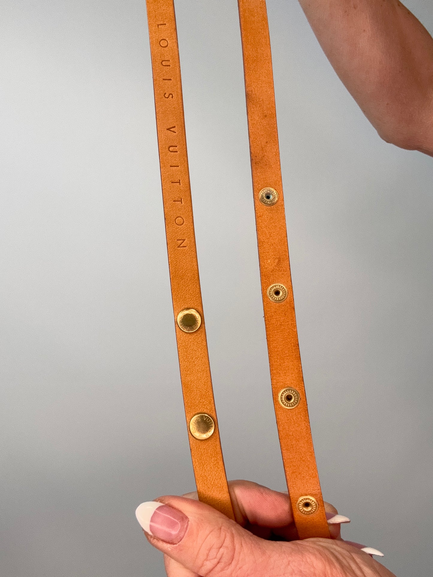 Louis Vuitton Florentine Belt Bag-Vintage