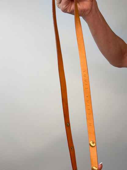 Louis Vuitton Florentine Belt Bag-Vintage