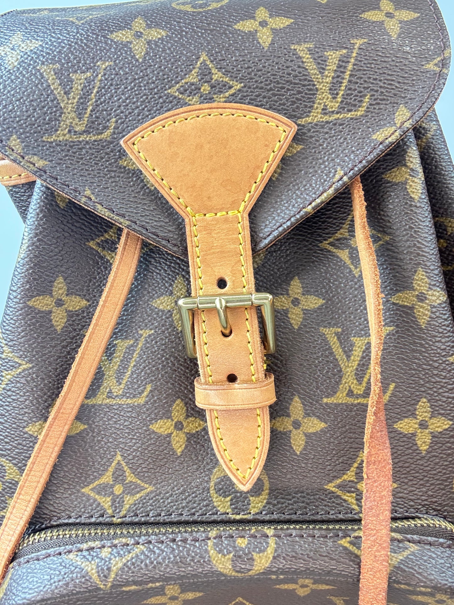 Louis Vuitton Monogram Montsouris Backpack