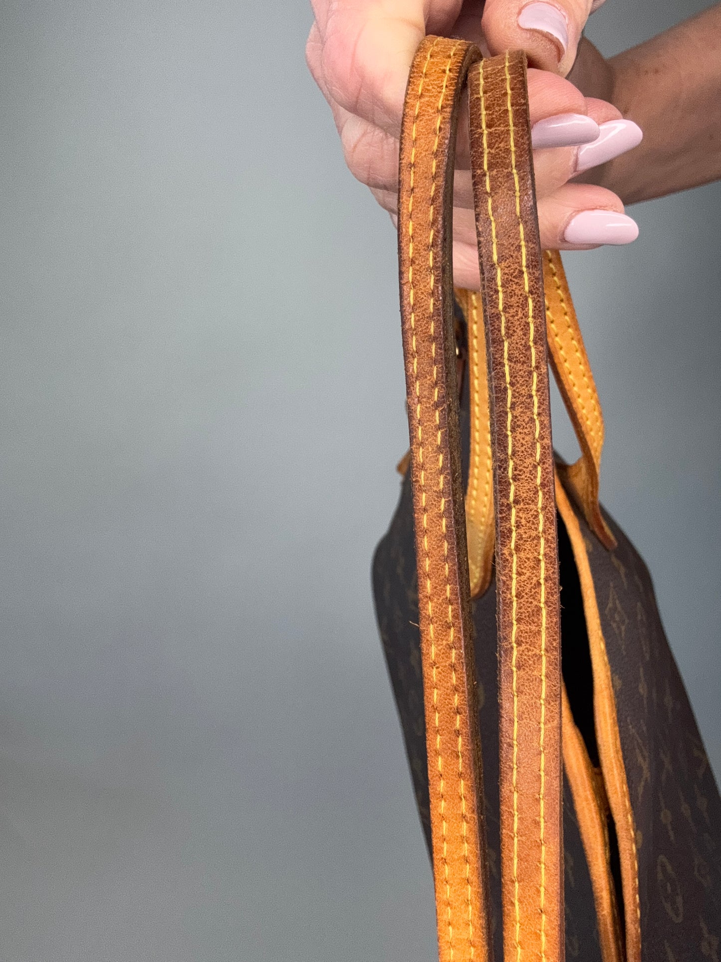 Louis Vuitton Neverfull Monogram PM