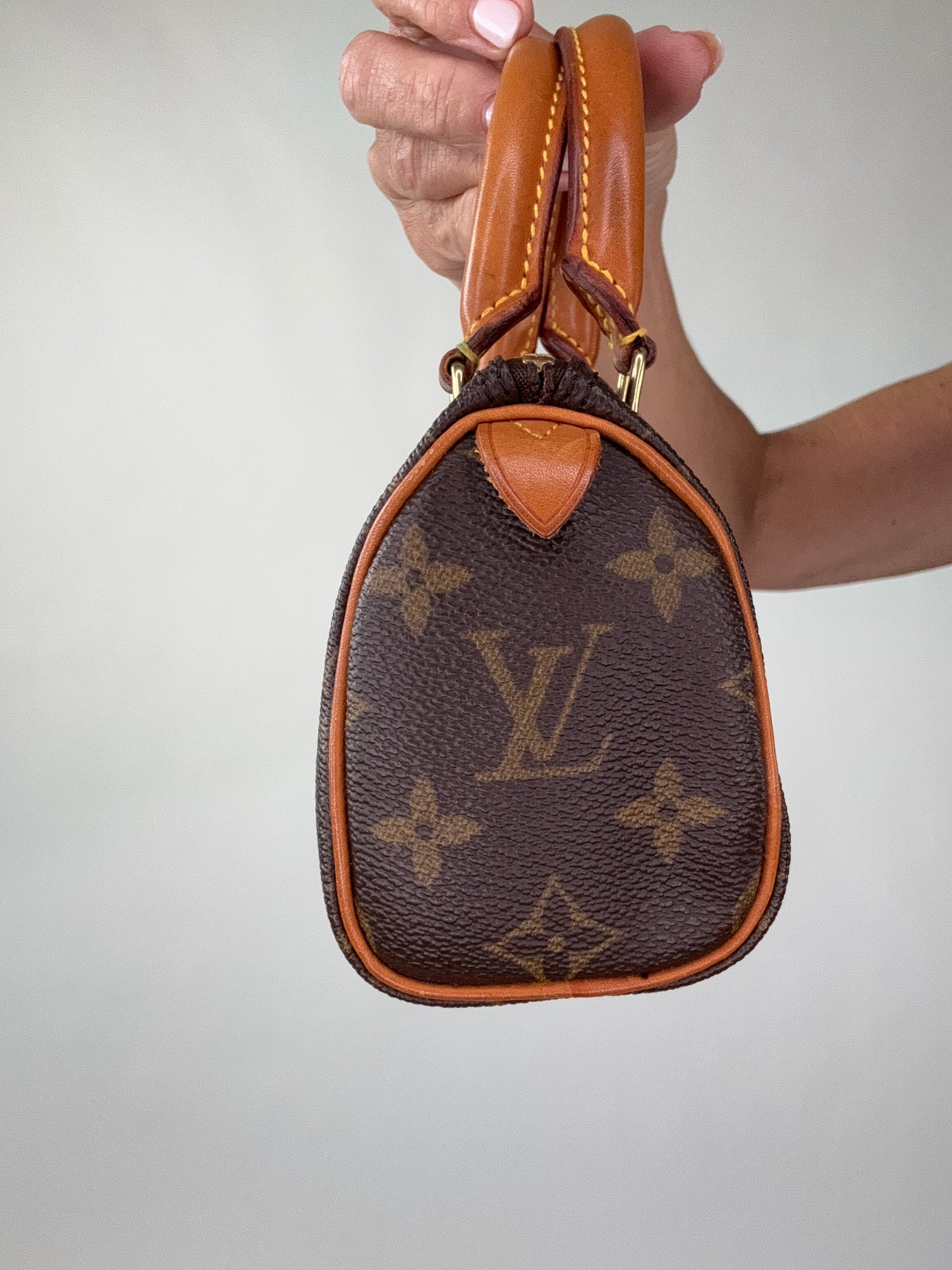 Louis Vuitton Nano Speedy Monogram Haute Luxe