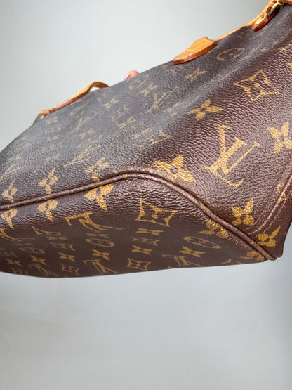 Louis Vuitton Neverfull Monogram PM