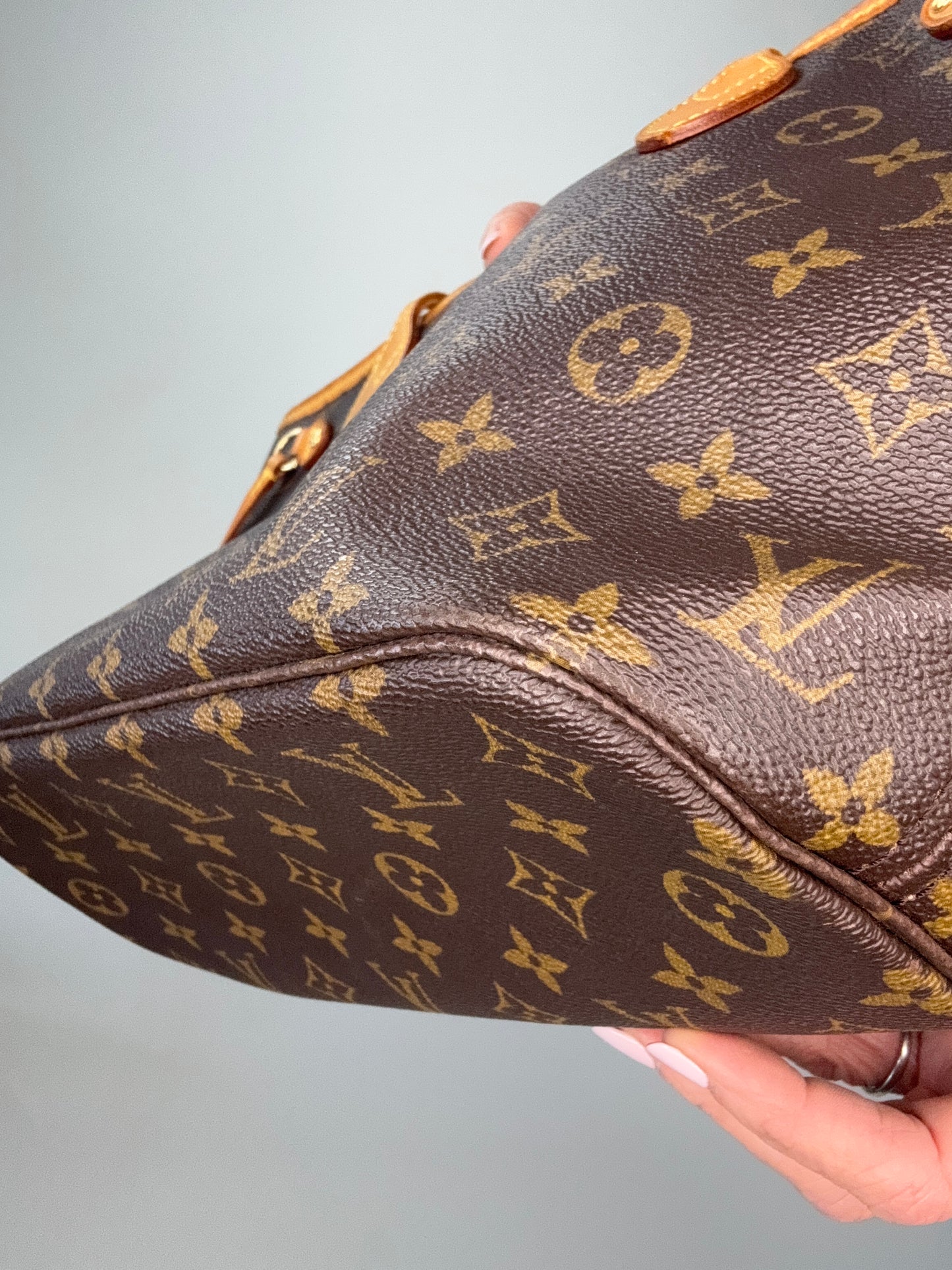Louis Vuitton Neverfull Monogram PM