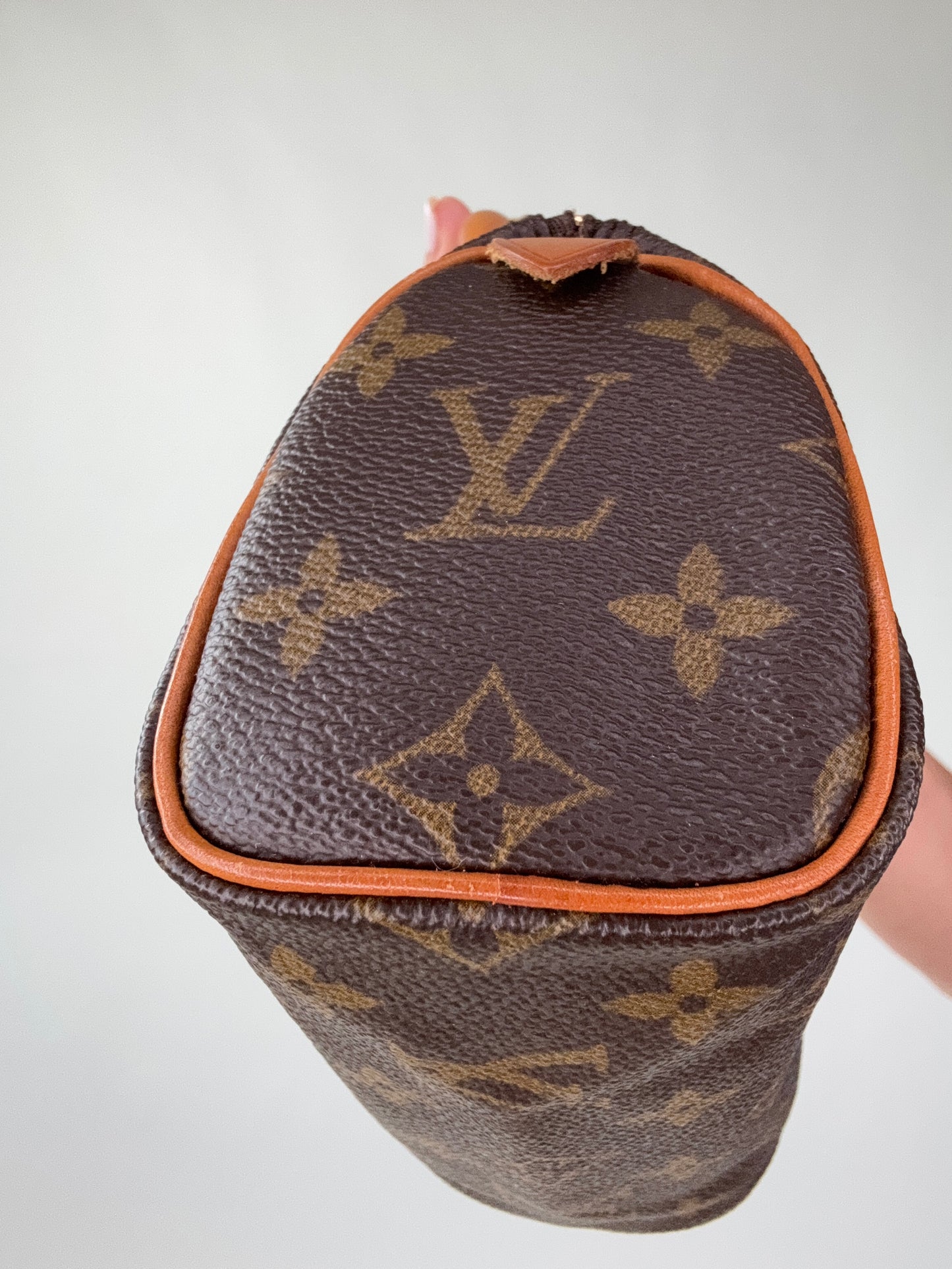 Louis Vuitton Nano Speedy Monogram Haute Luxe