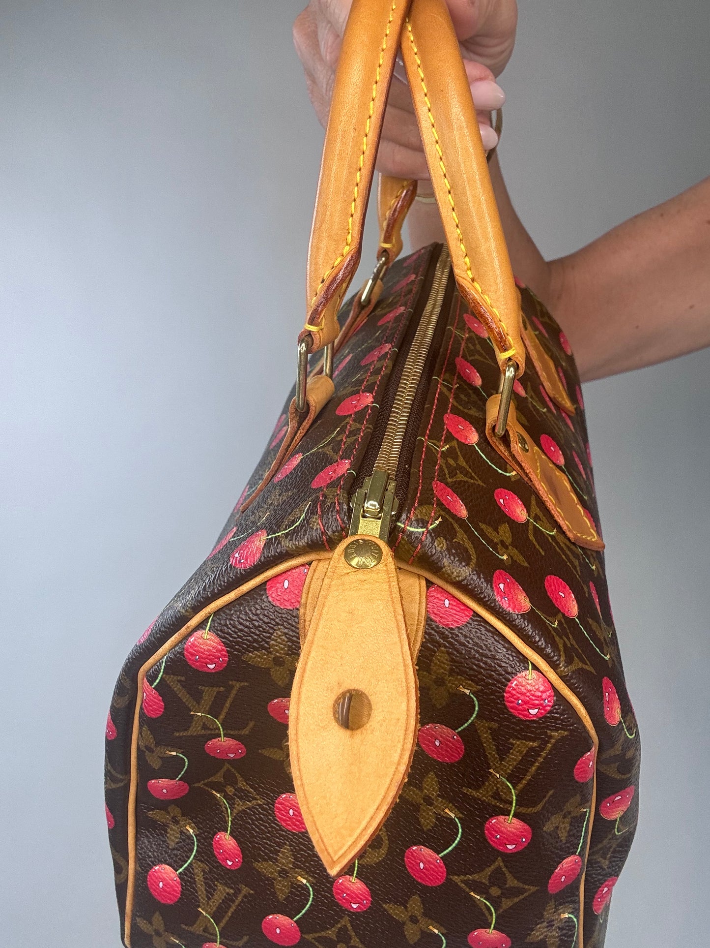 Louis Vuitton Takashi Murakami Cherry Speedy 25