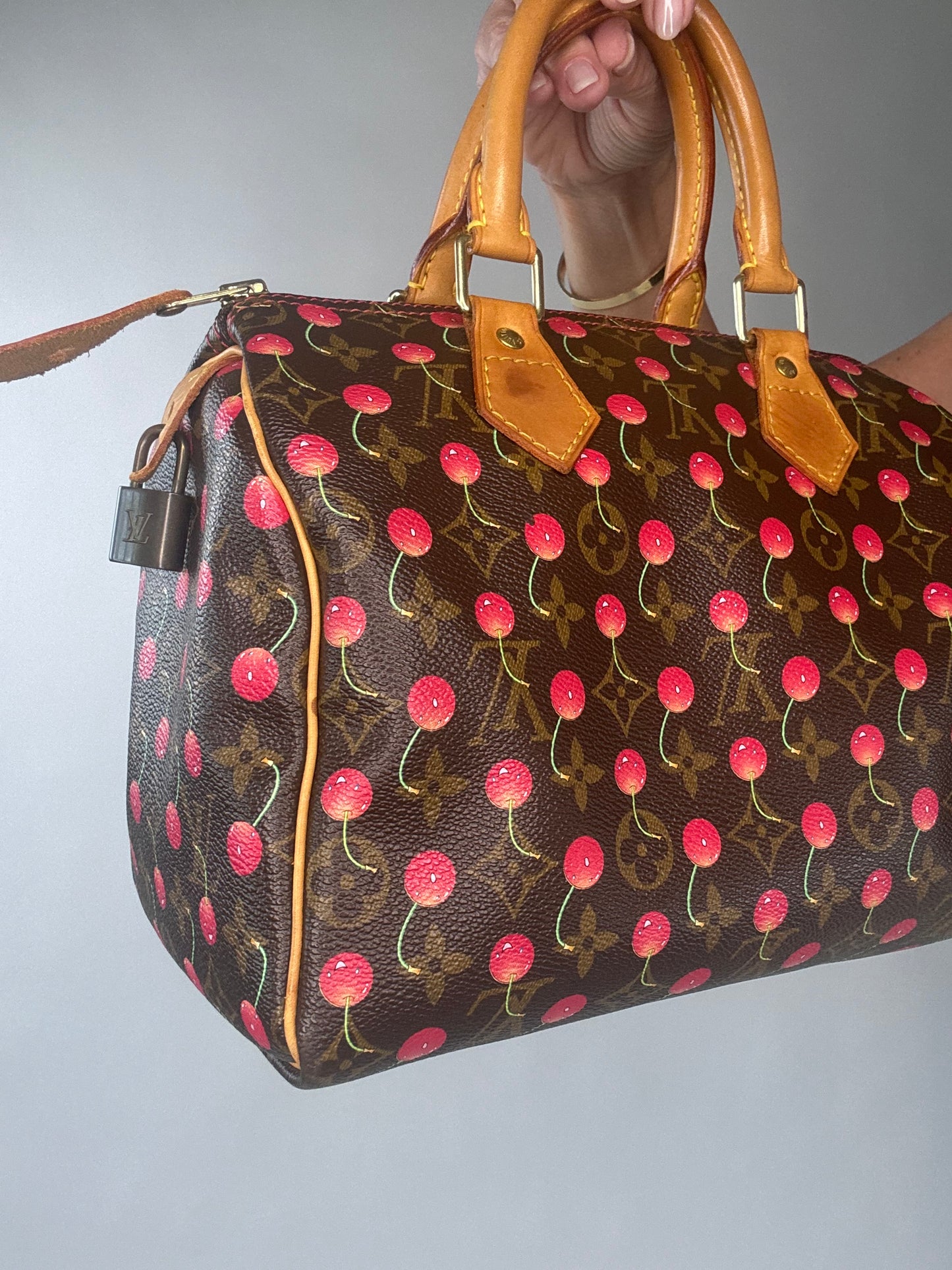 Louis Vuitton Takashi Murakami Cherry Speedy 25