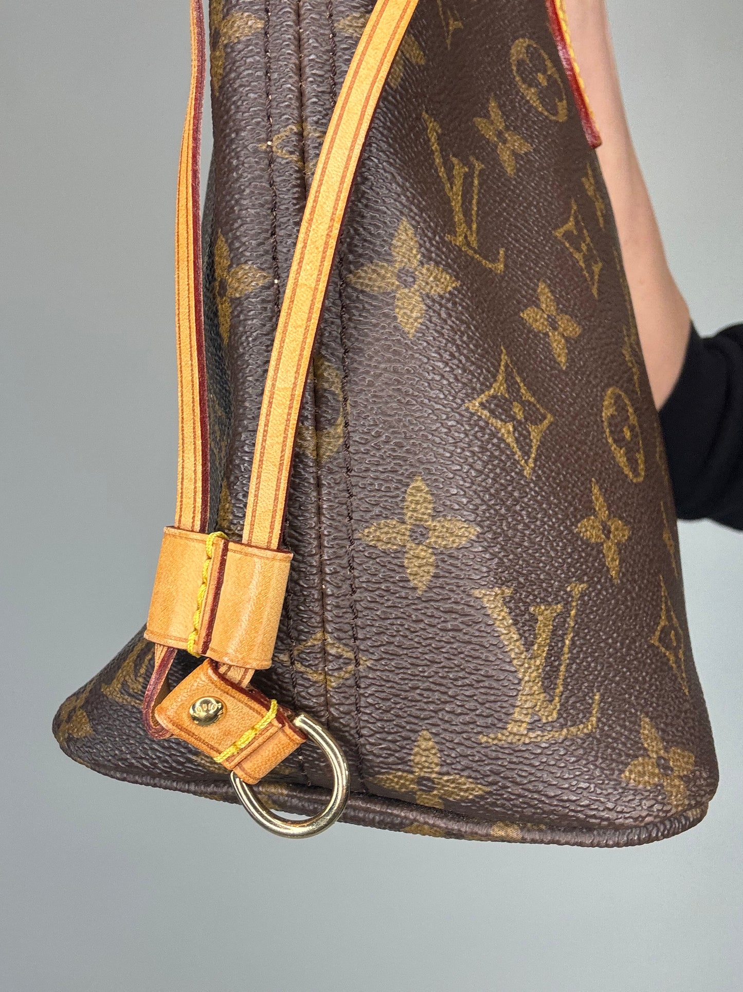 Louis Vuitton Neverfull Monogram PM