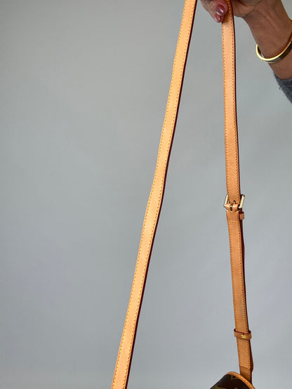 Louis Vuitton Monogram Sologne Bag