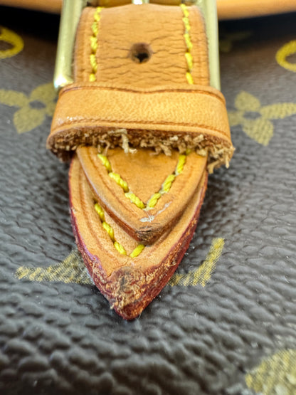 Louis Vuitton Monogram Sologne Bag