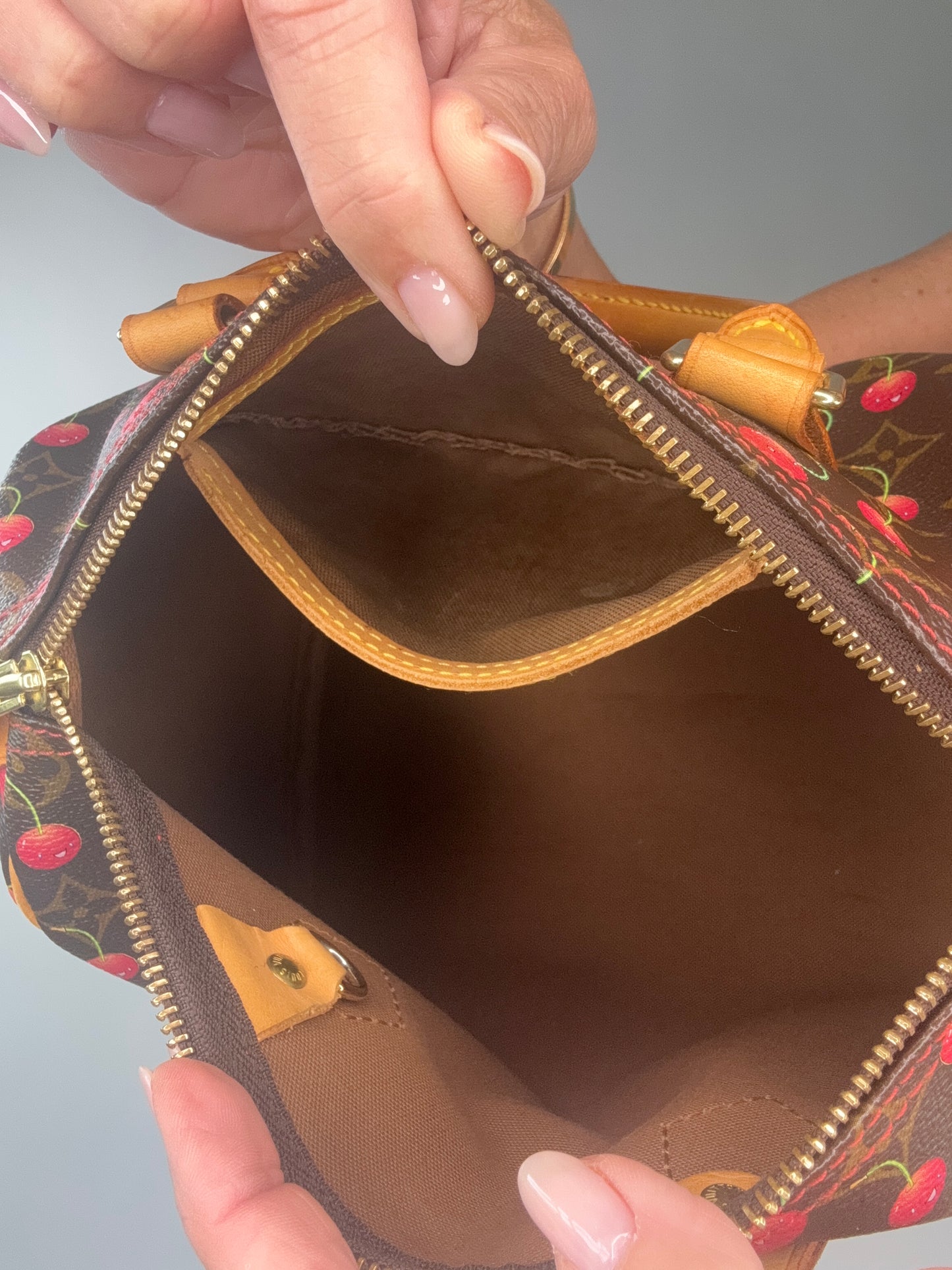 Louis Vuitton Takashi Murakami Cherry Speedy 25