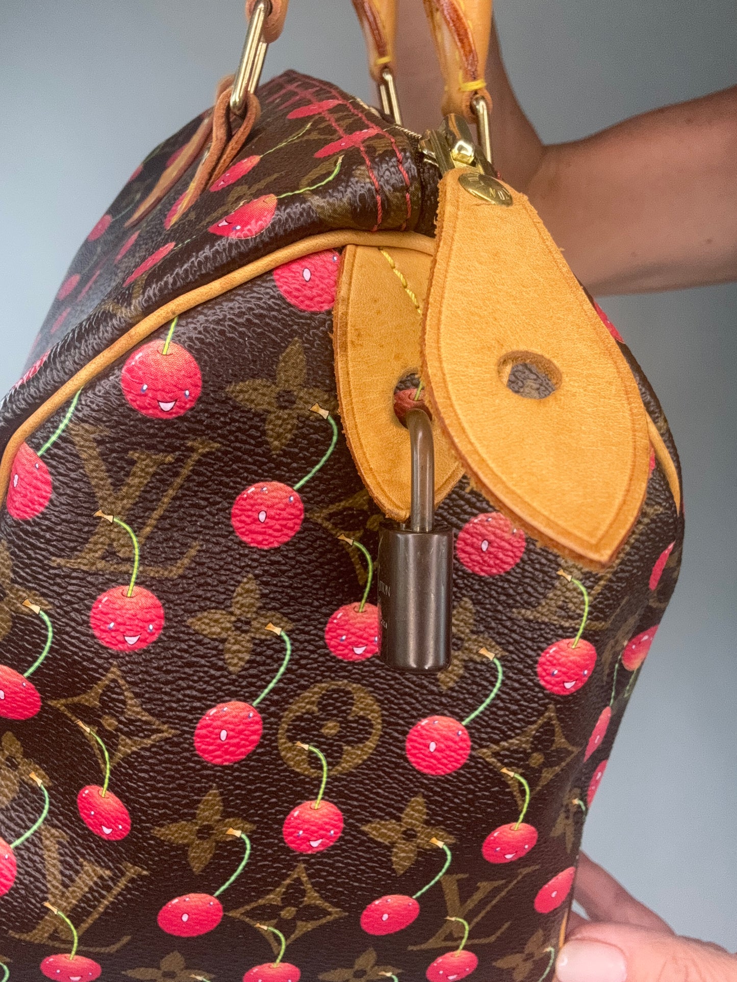 Louis Vuitton Takashi Murakami Cherry Speedy 25