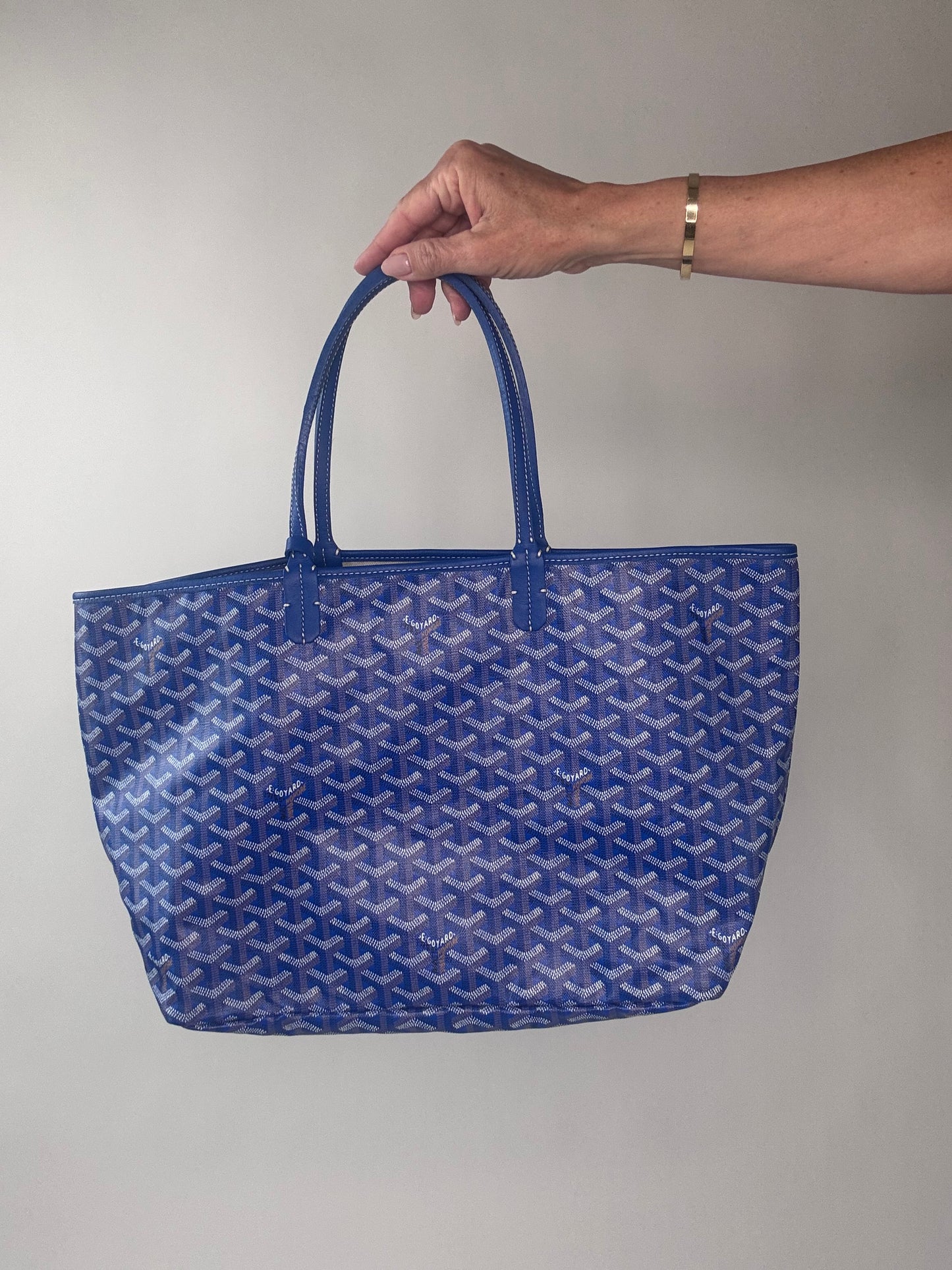 Goyard St Louis PM With Pouch Blue