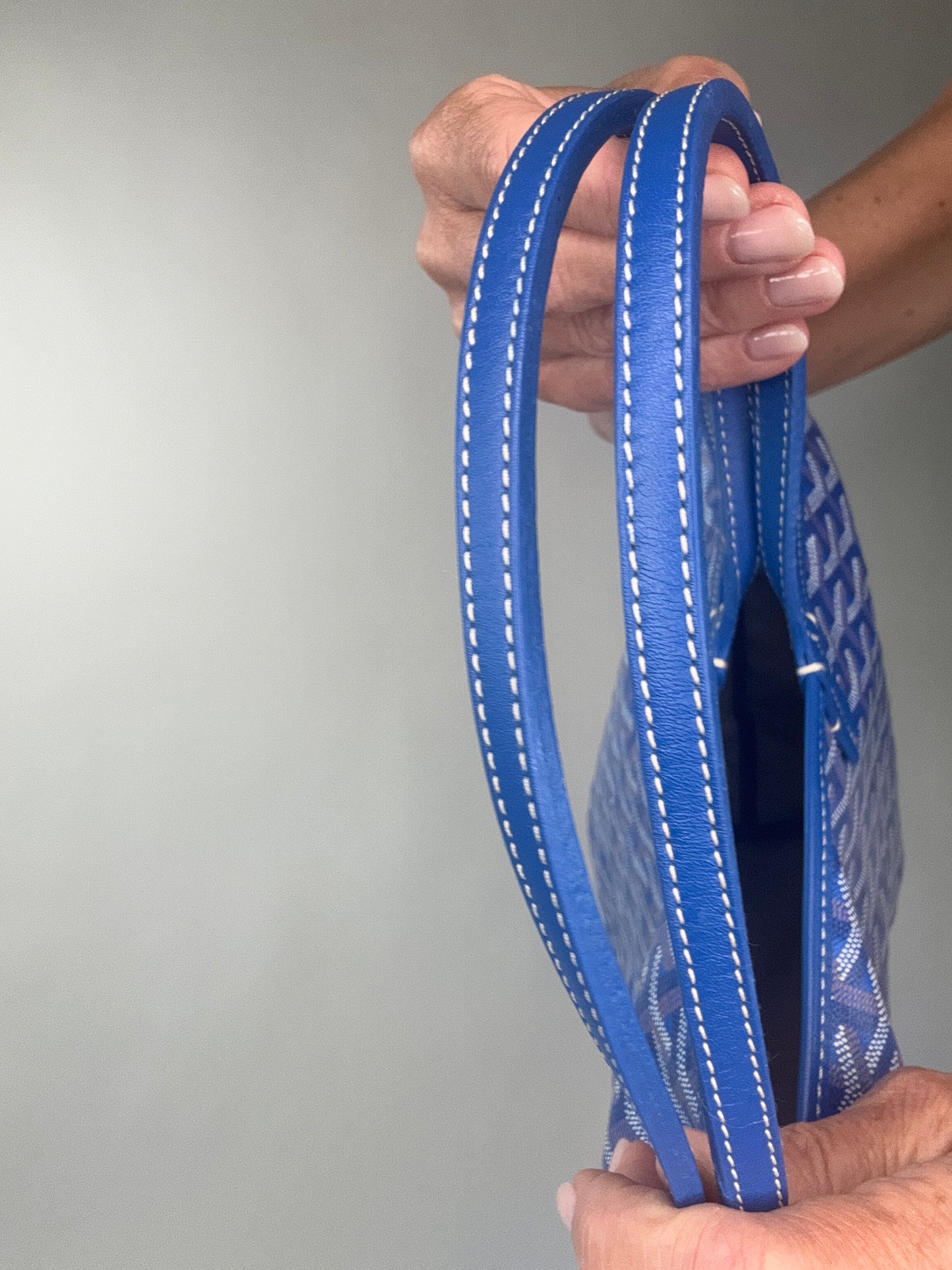 Goyard St Louis PM With Pouch Blue