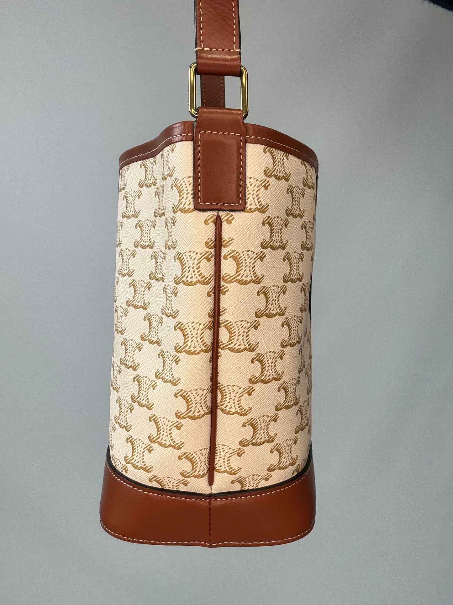 The Celine Triomphe Small Canvas Bucket Bag