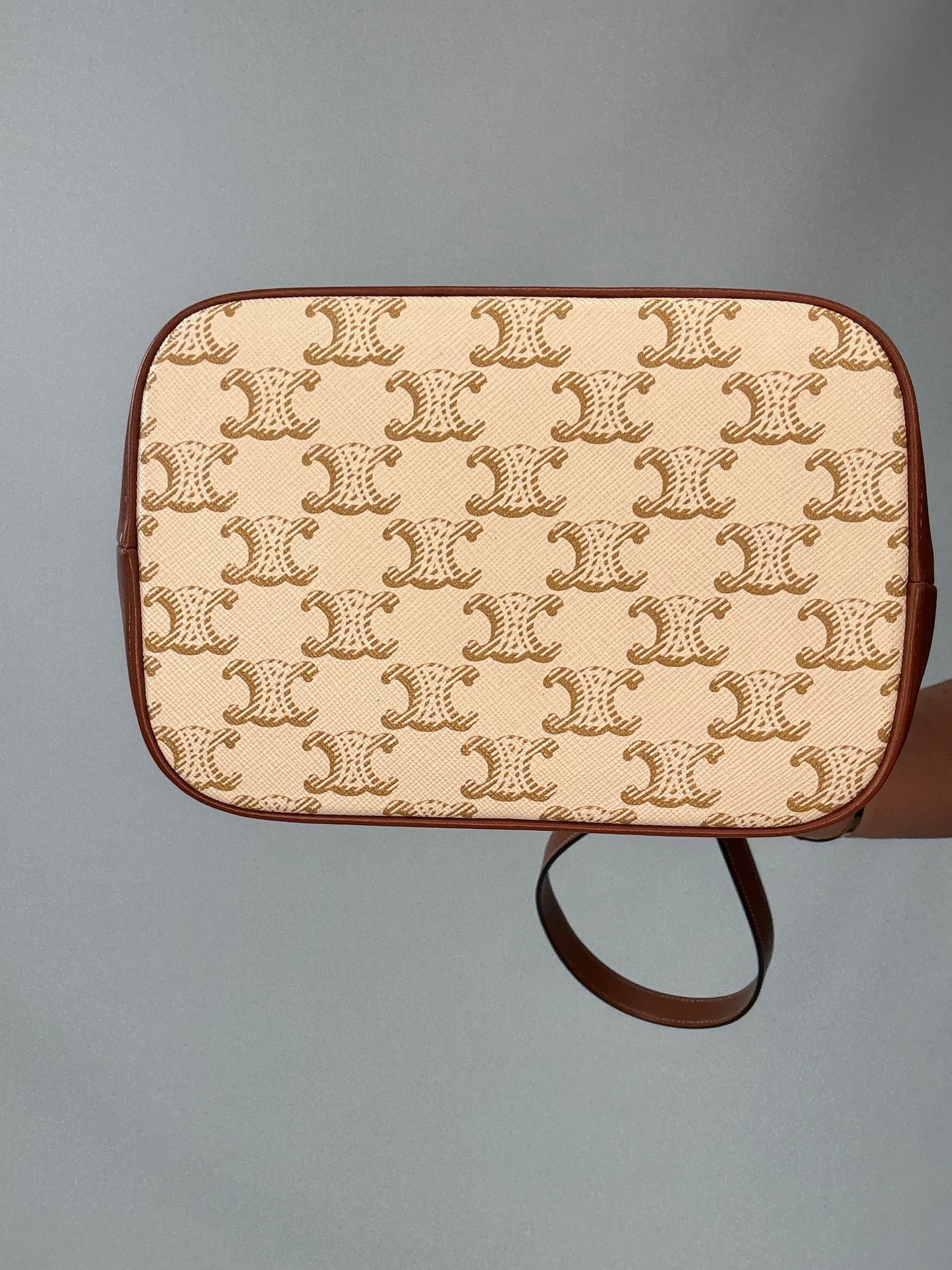 The Celine Triomphe Small Canvas Bucket Bag